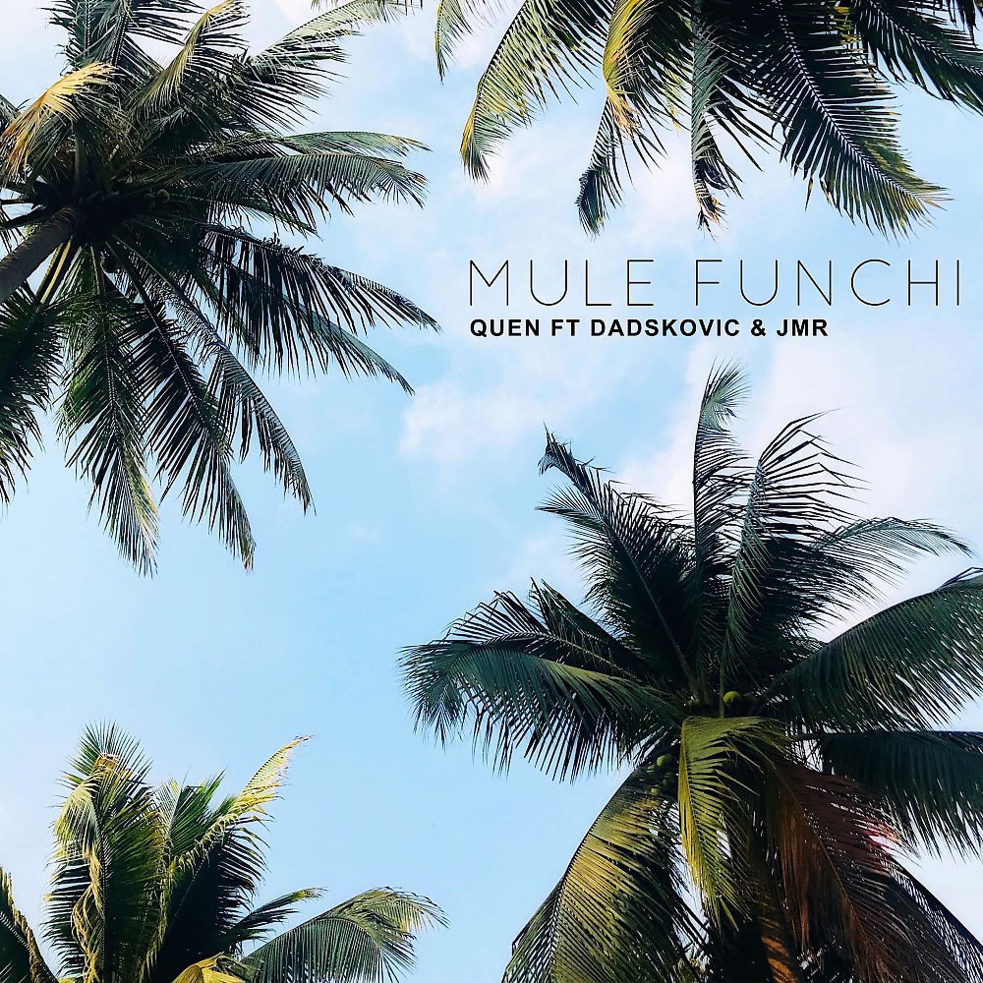 Постер альбома Mule Funchi