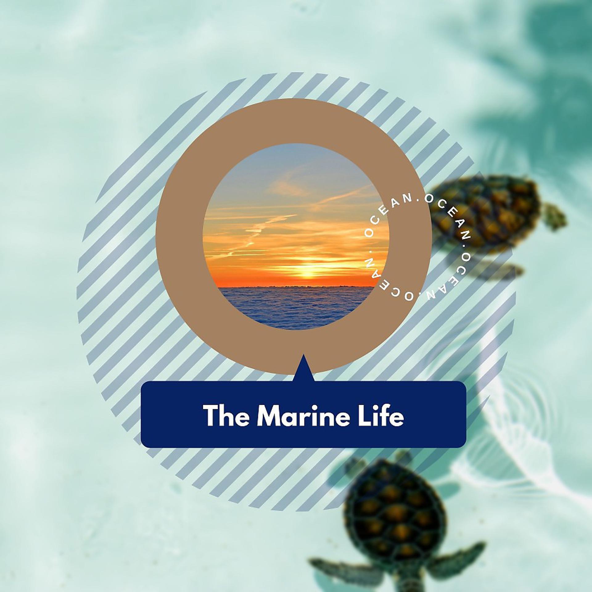 Постер альбома The Marine Life