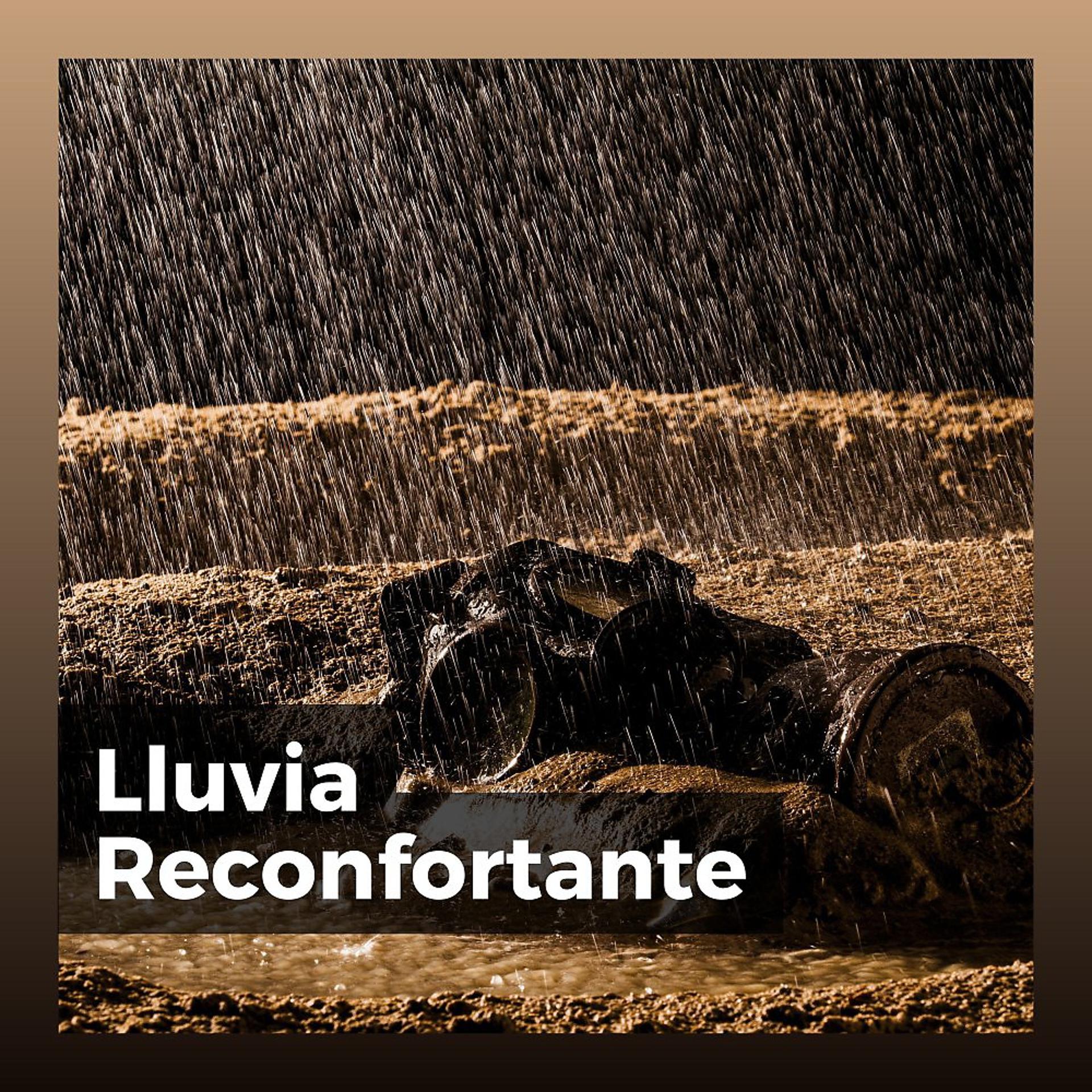 Постер альбома Lluvia Reconfortante