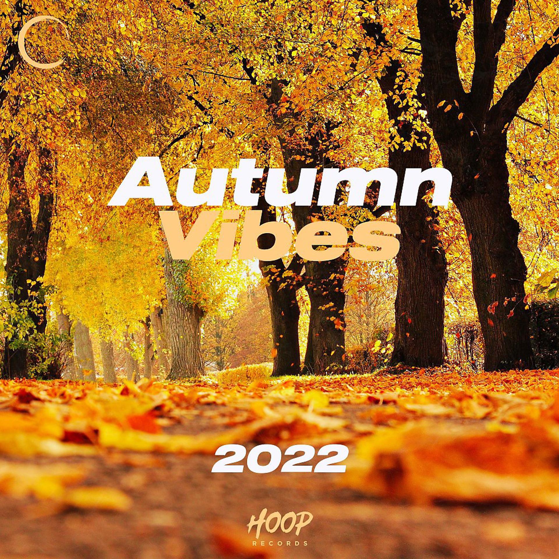 Постер альбома Осенние флюиды 2022: Лучшая музыка для осеннего дня от Hoop Records