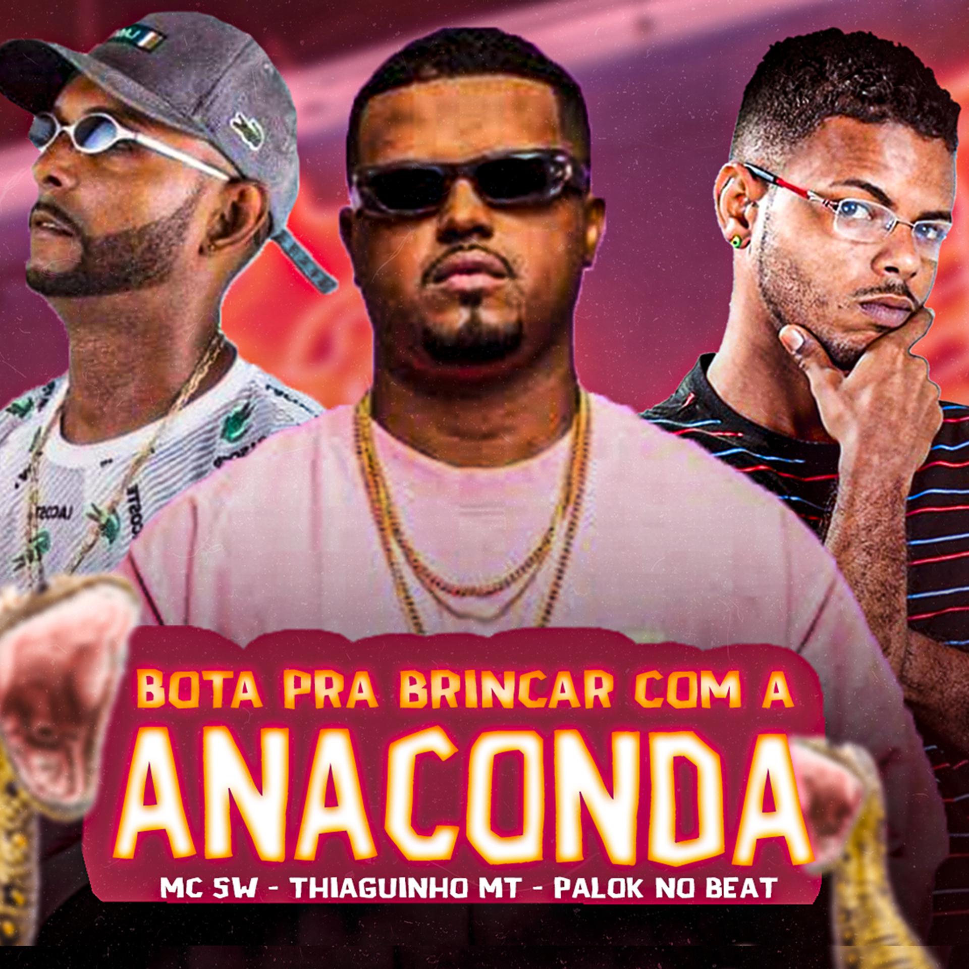 Постер альбома Bota pra Brincar Com a Anaconda
