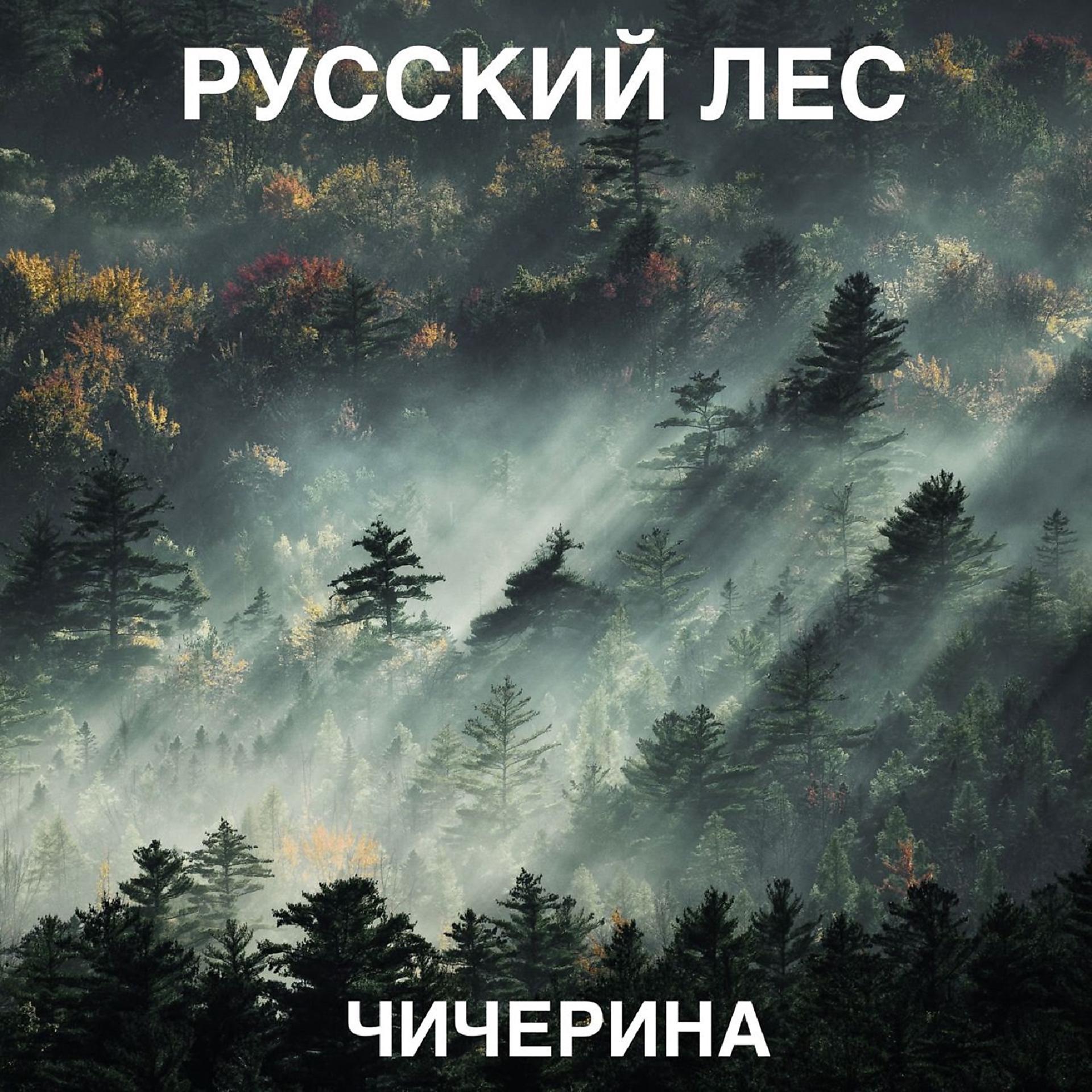 Постер альбома Русский лес