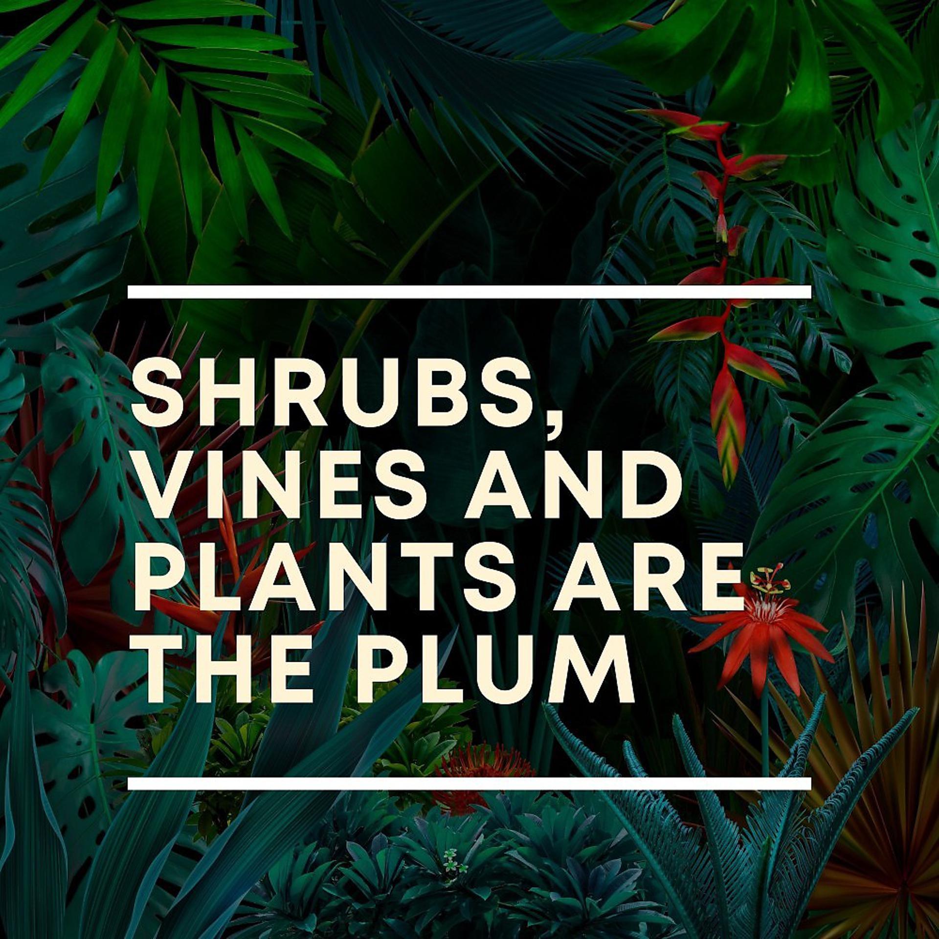 Постер альбома Shrubs, Vines and Plants Are the Plum