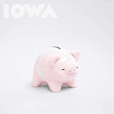 Постер к треку Iowa - Свинка-копилка