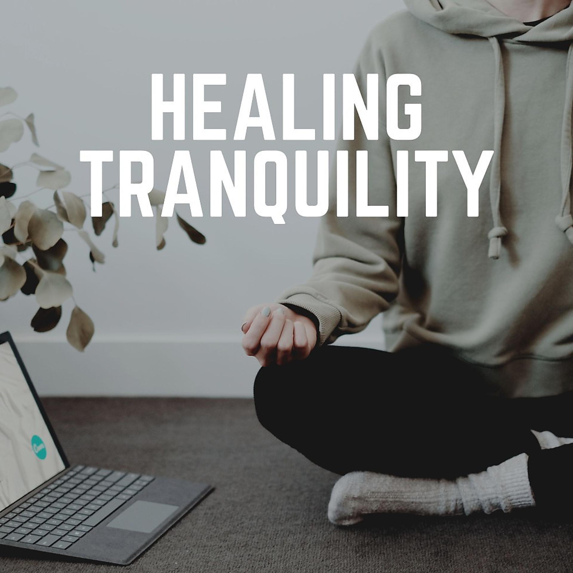 Постер альбома Healing Tranquility