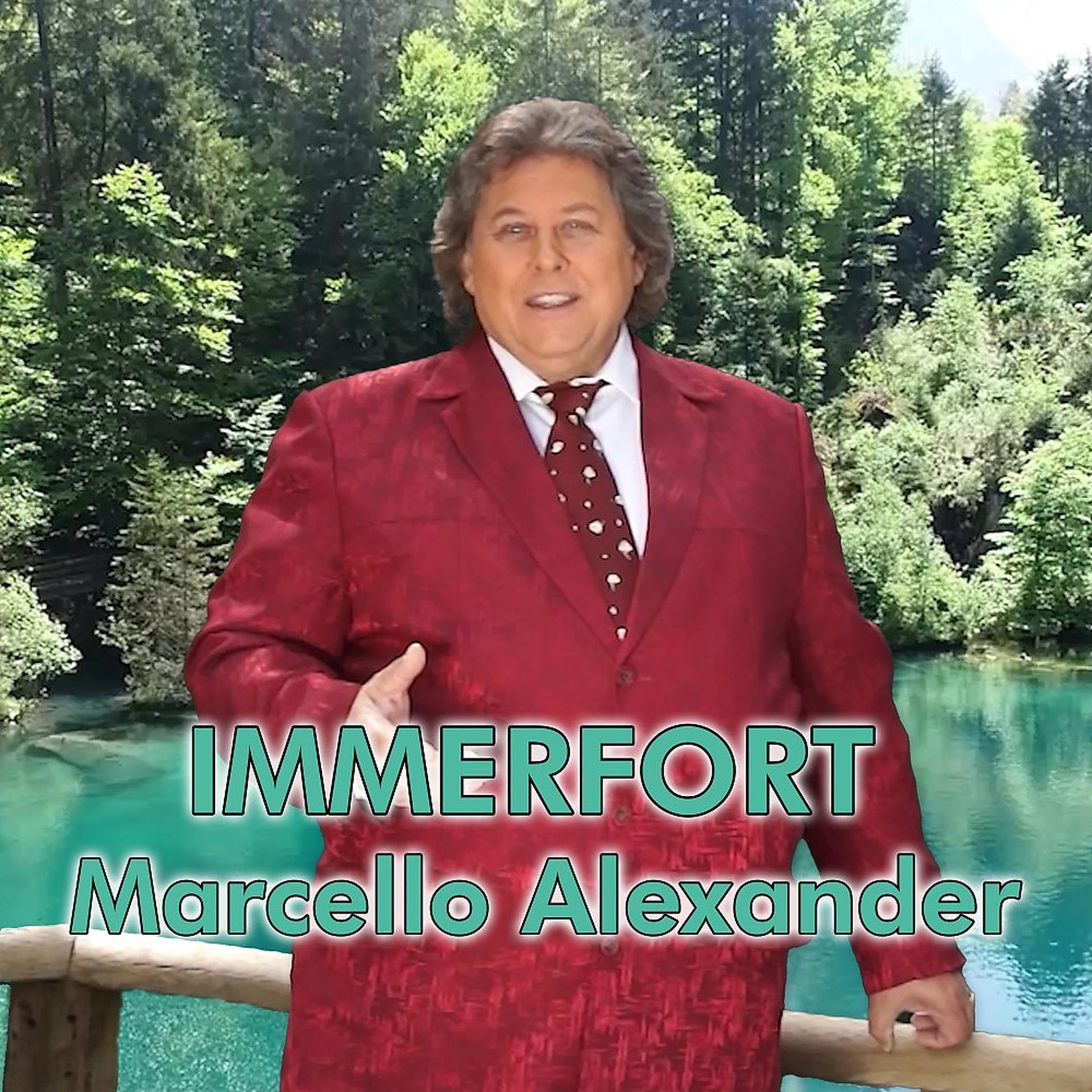 Постер альбома Immerfort