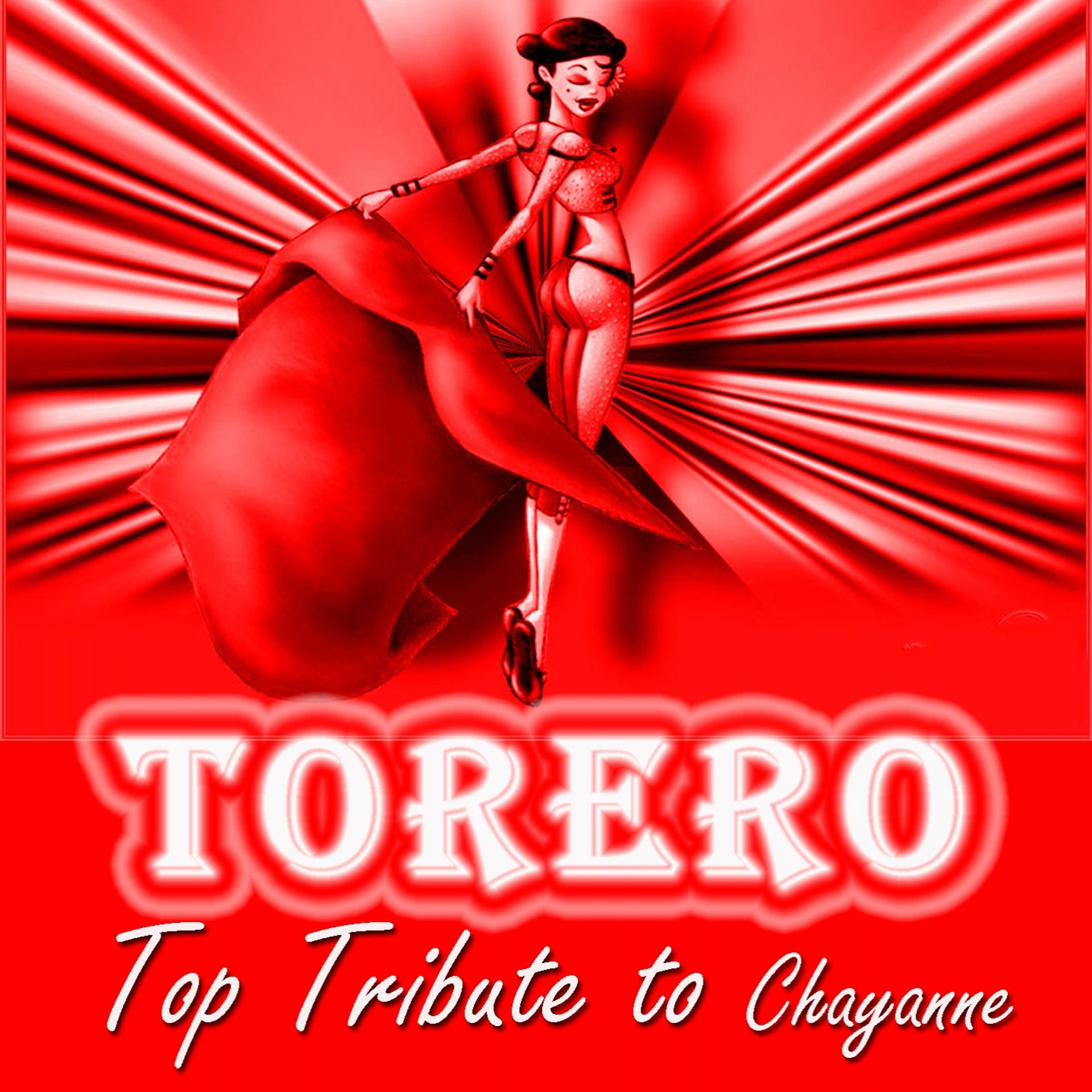 Постер альбома Torero: Top Tribute to Chayanne