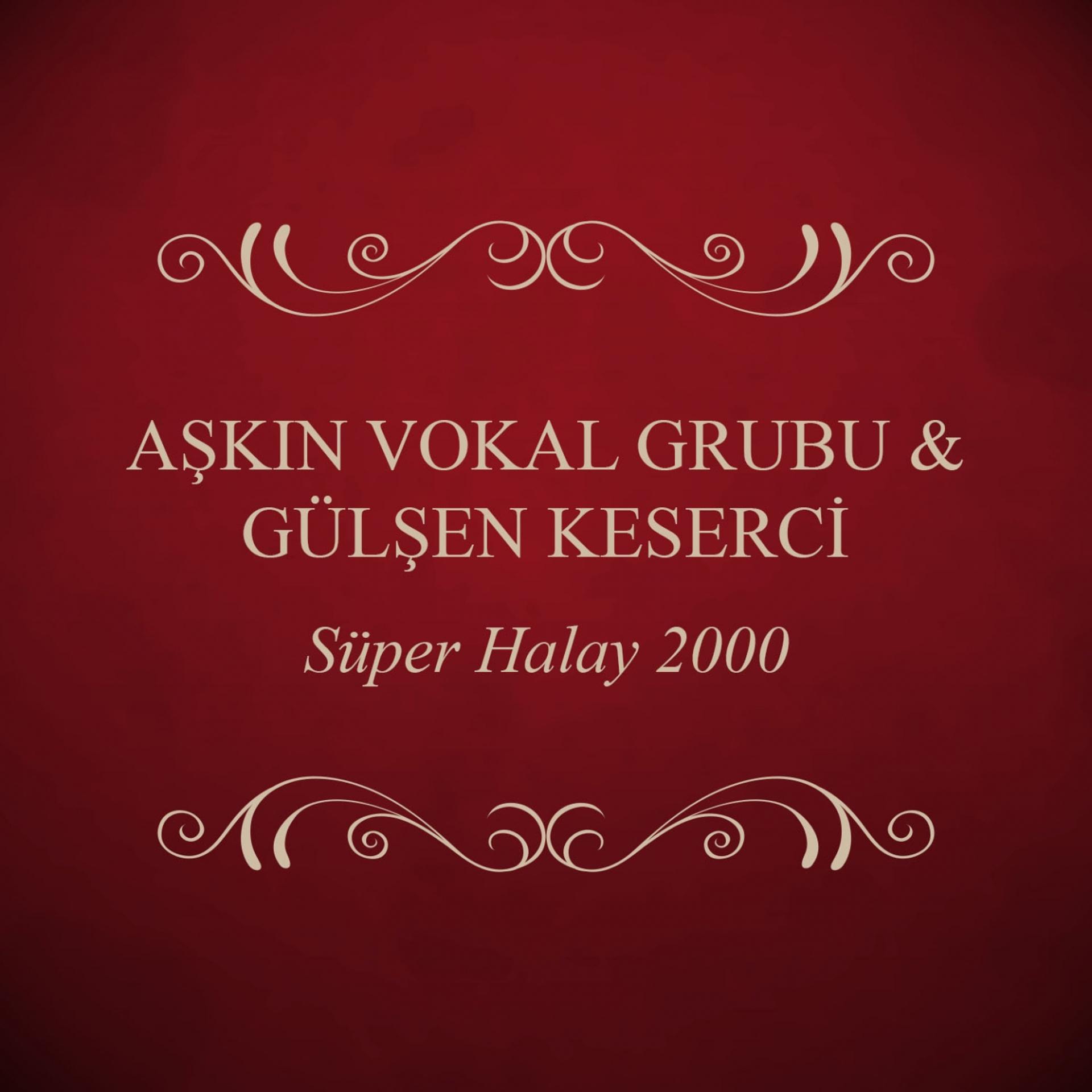 Постер альбома Süper Halay 2000