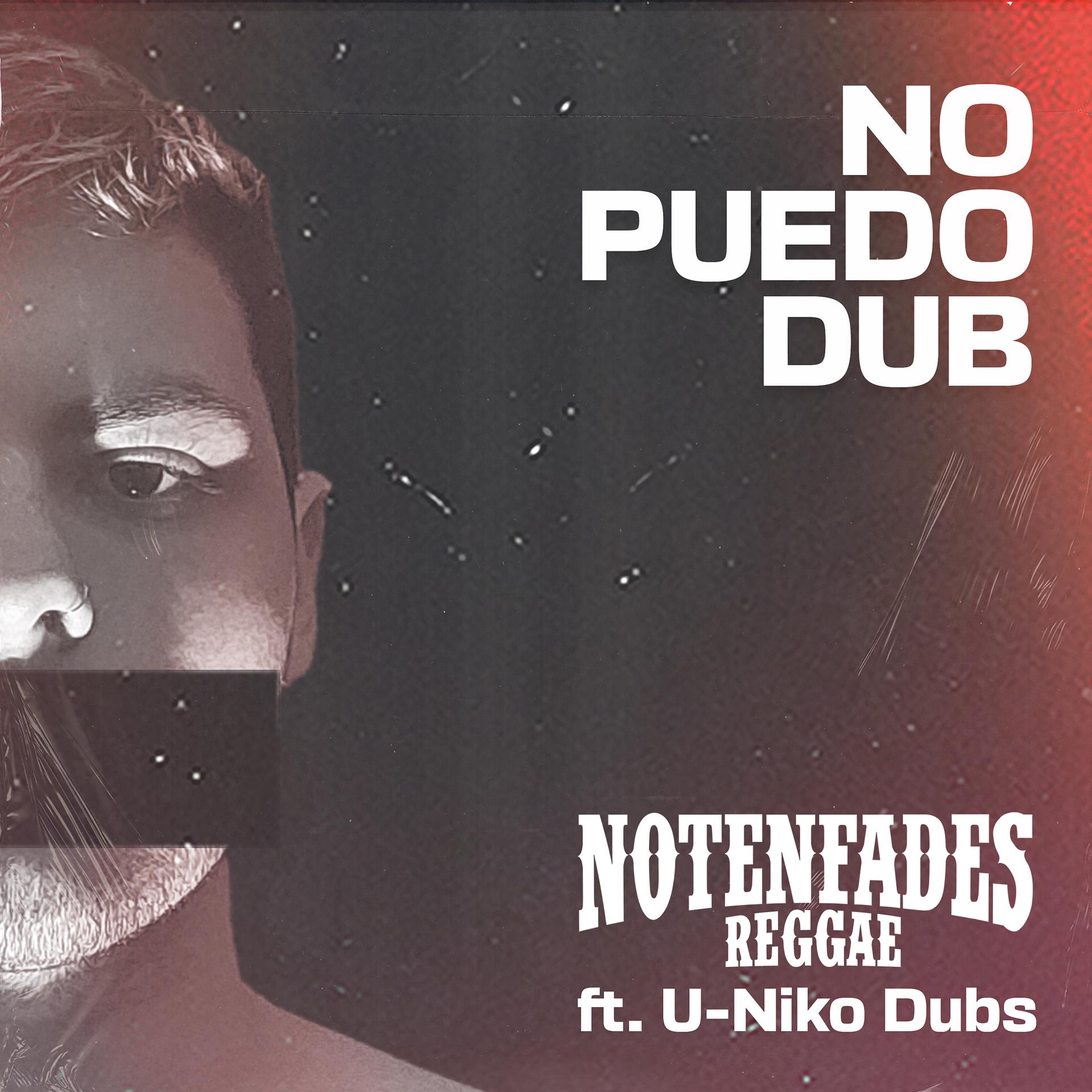Постер альбома No Puedo Dub