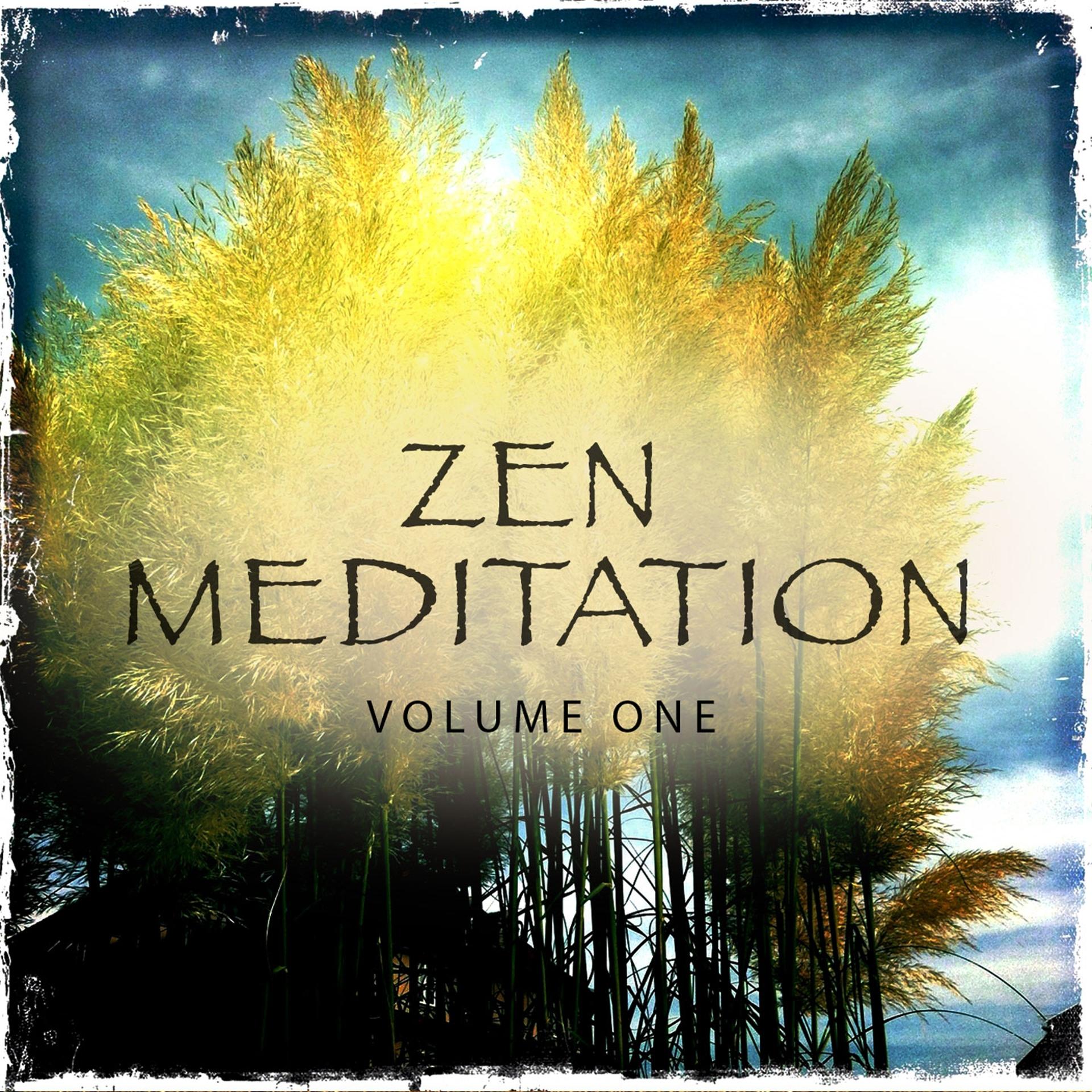 Постер альбома Zen Meditation, Vol. 1