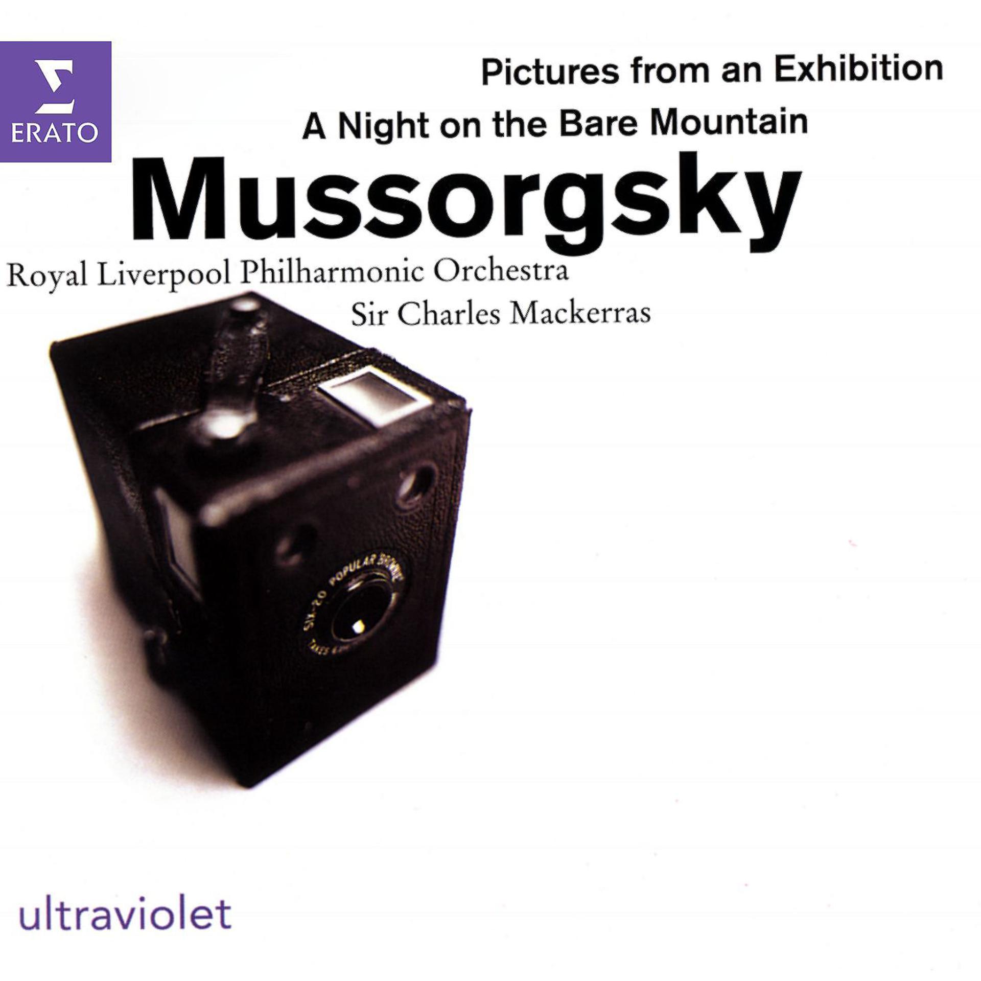 Постер альбома Mussorgsky - Pictures at an Exhibition, etc