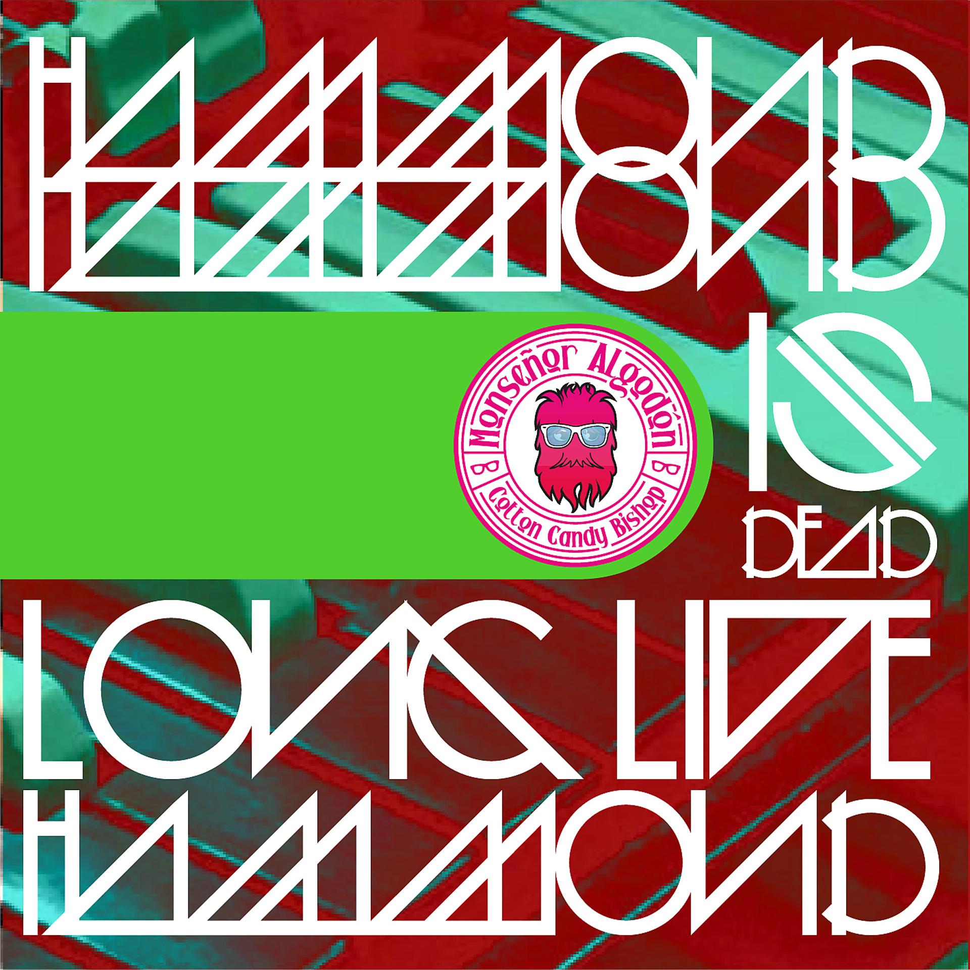 Постер альбома Hammond is dead, long live hammond