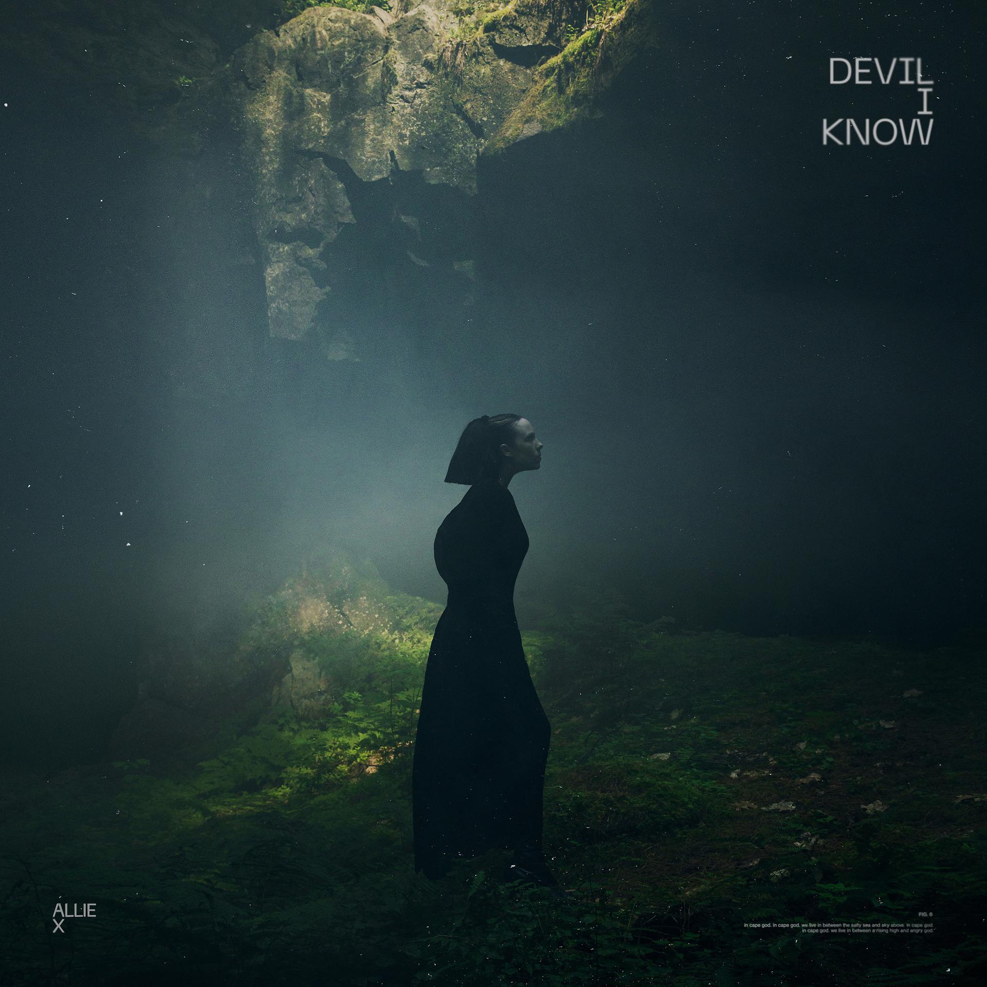 Постер альбома Devil I Know