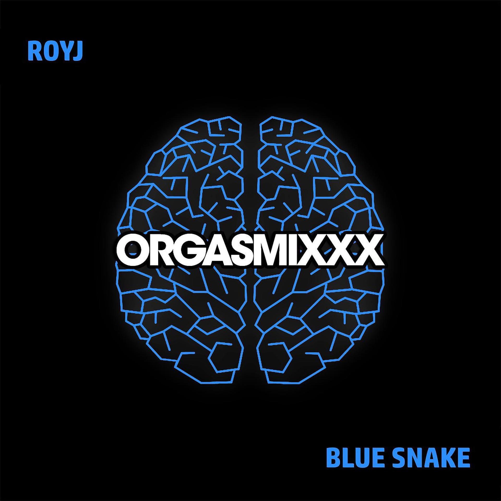 Постер альбома Blue Snake