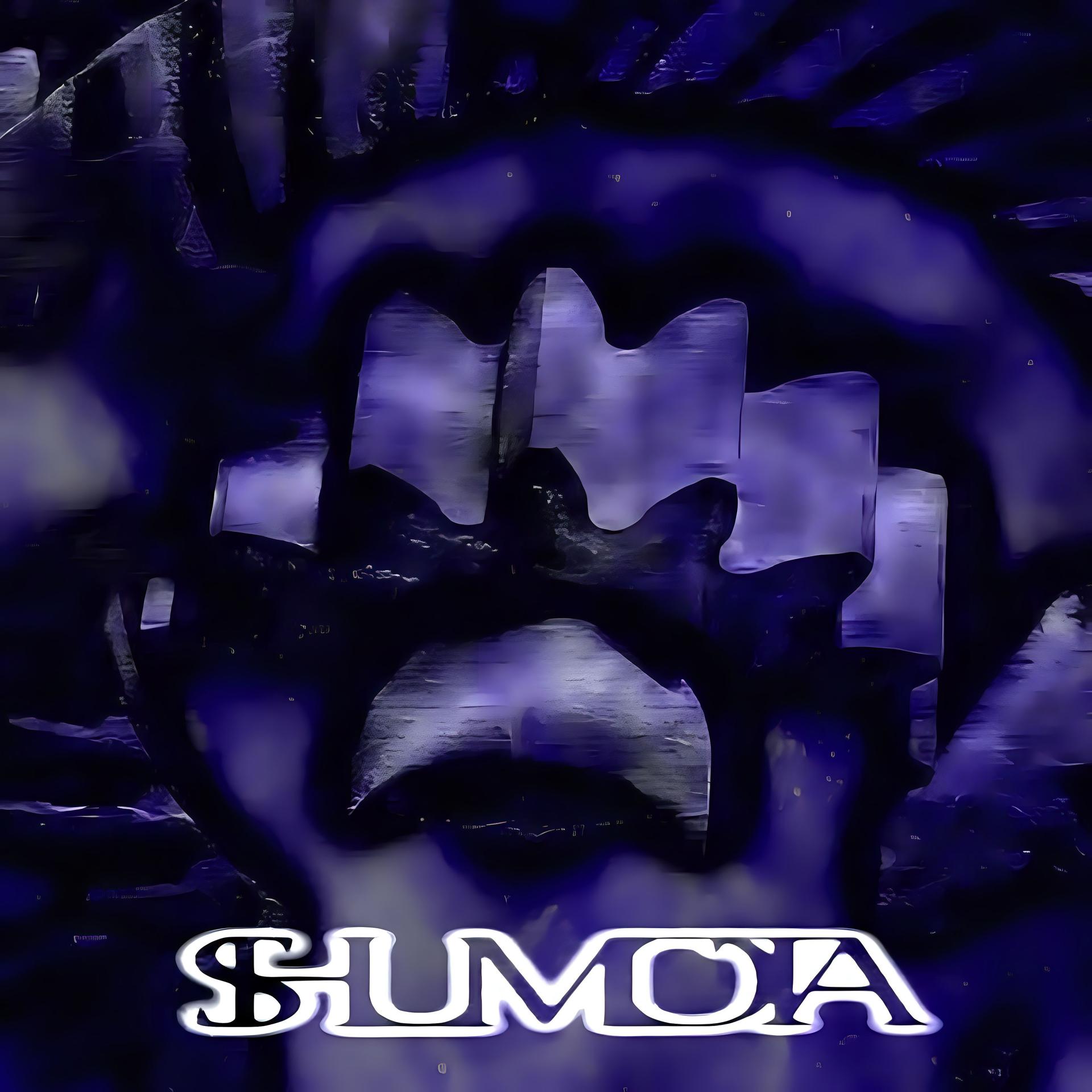 Постер альбома Shumota