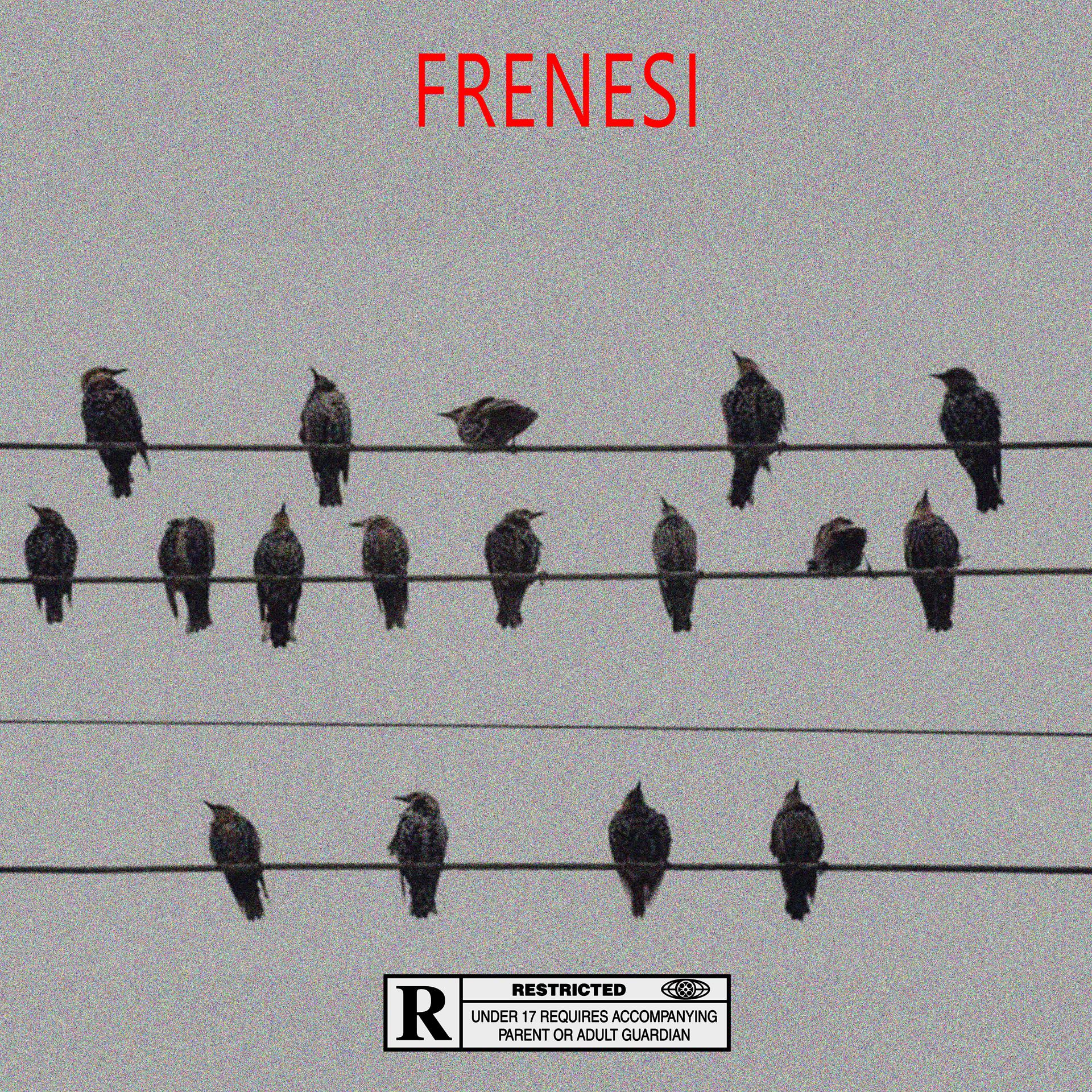 Постер альбома Frenesi