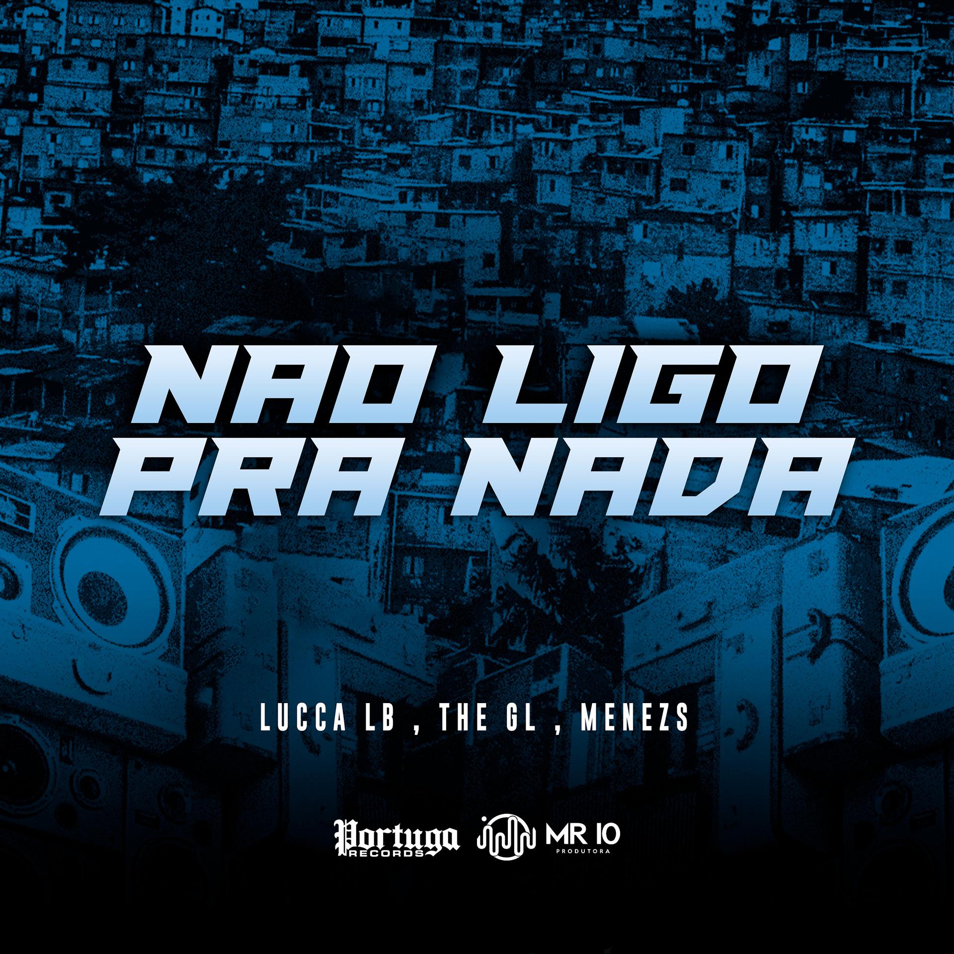 Постер альбома Não Ligo pra Nada