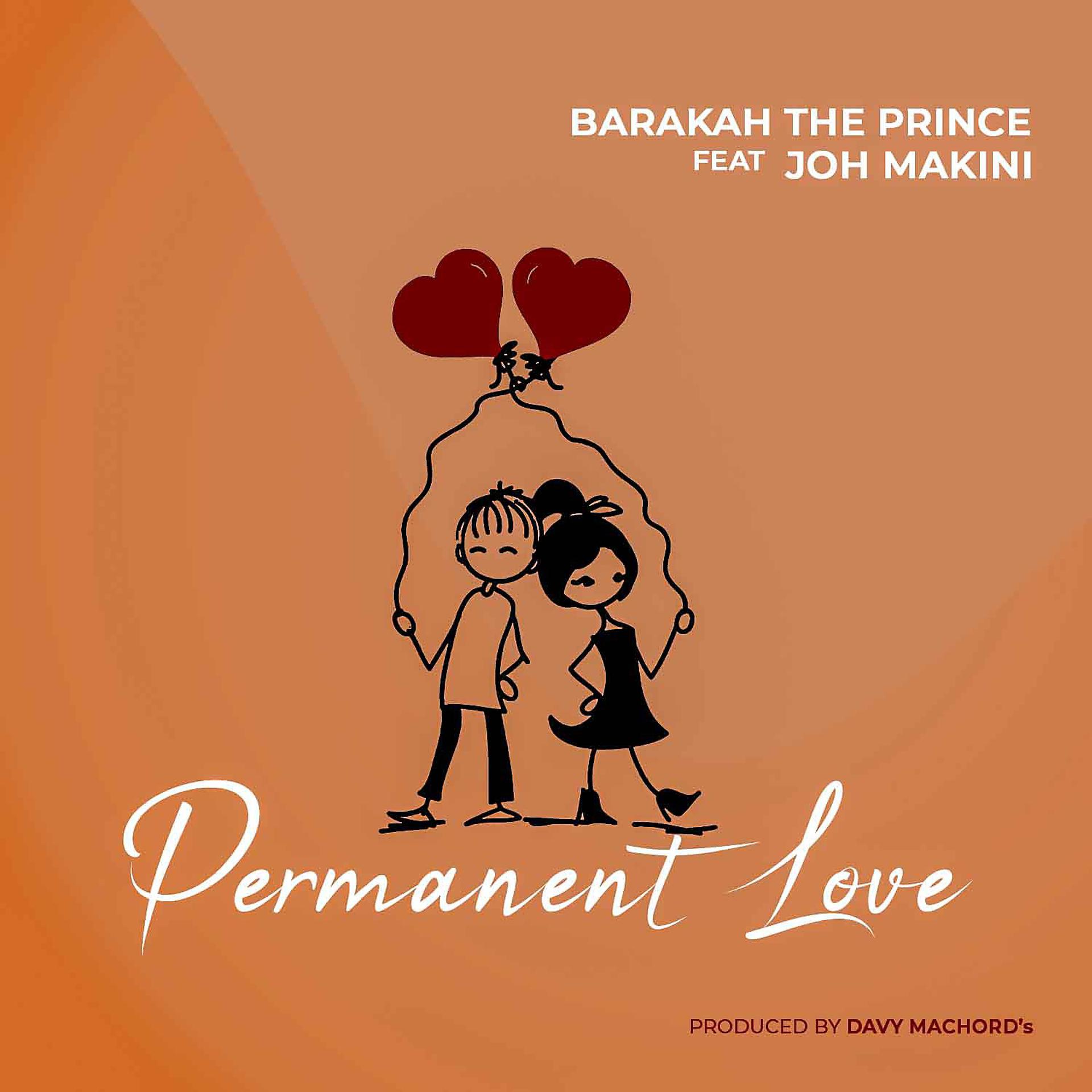 Постер альбома Permanent Love