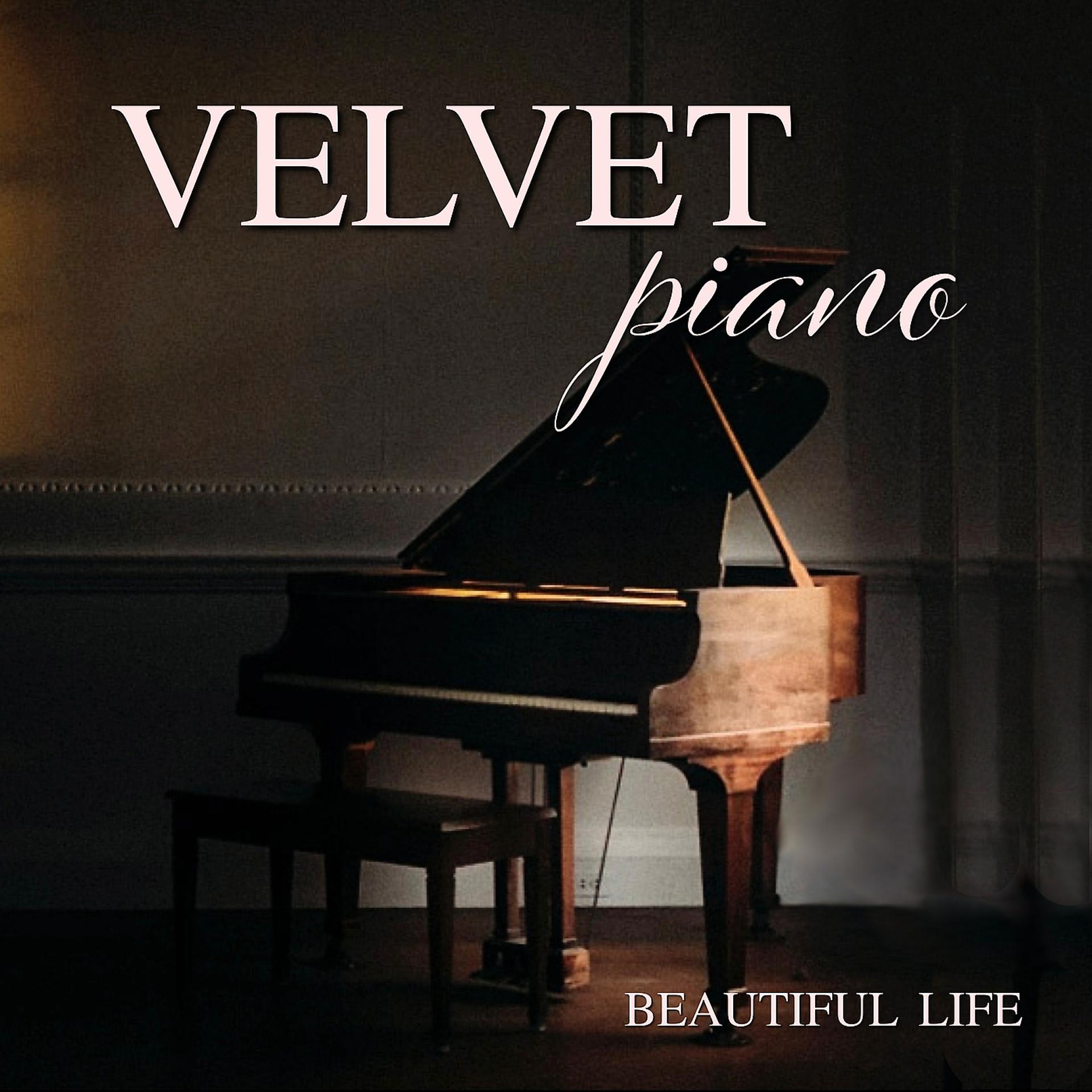 Постер альбома Velvet Piano
