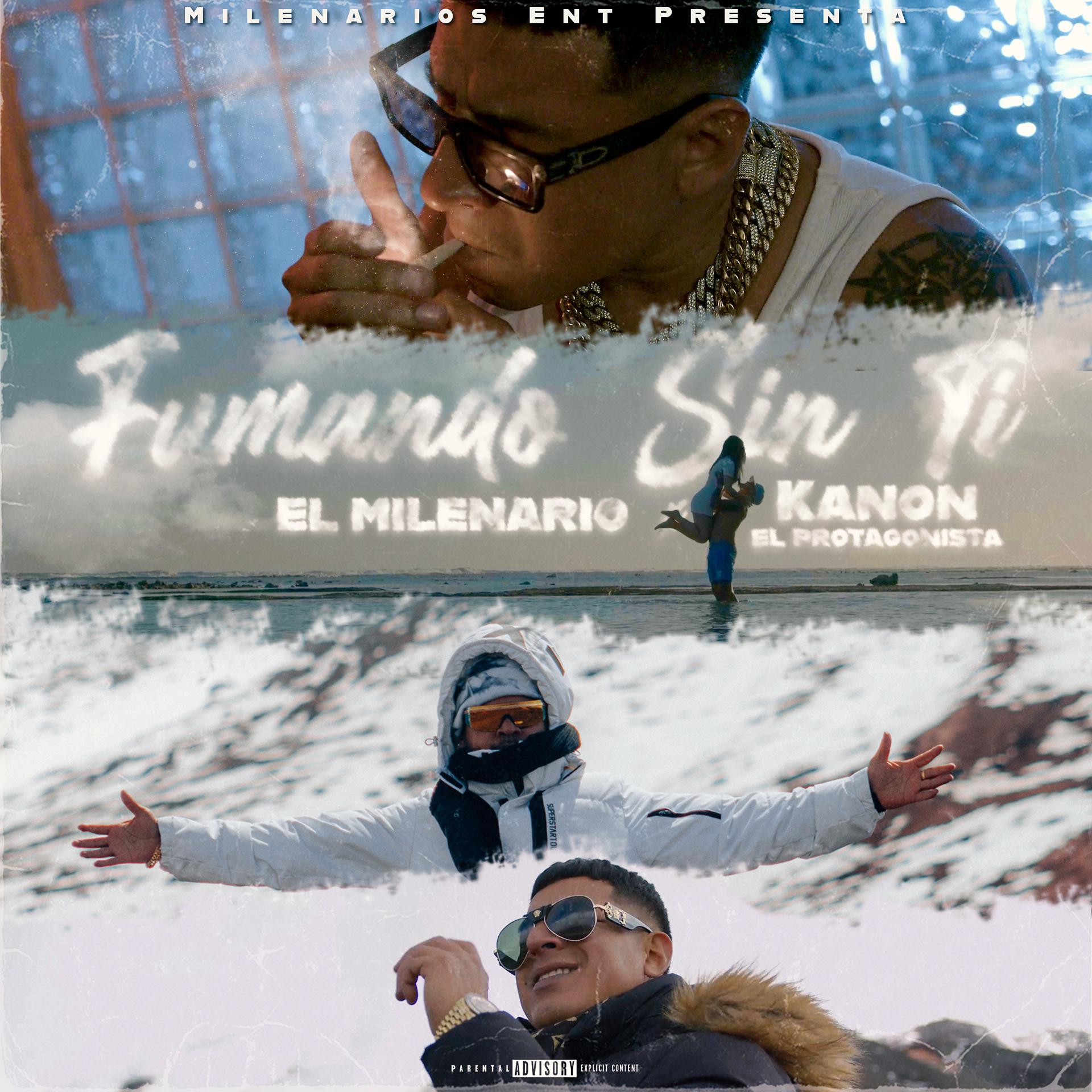 Постер альбома Fumando Sin Ti