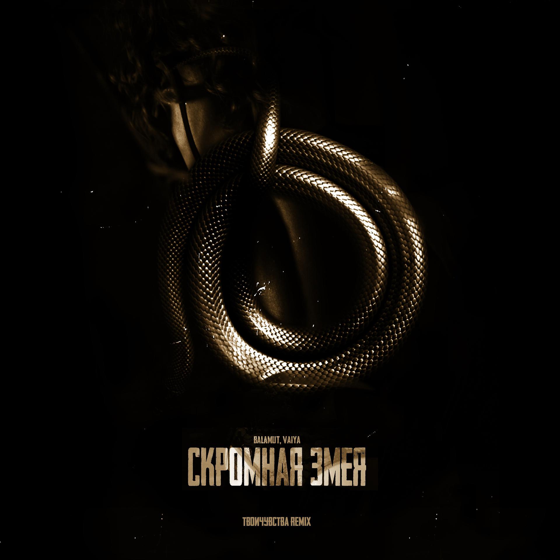 Постер альбома Скромная змея (Remix)