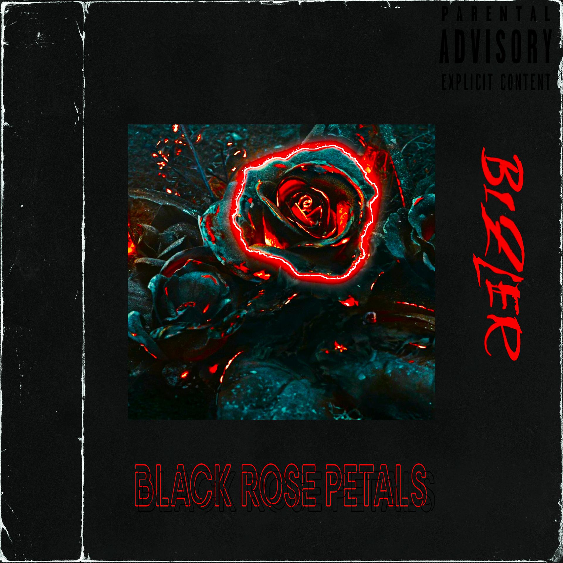 Постер альбома Лепестки черной розы
