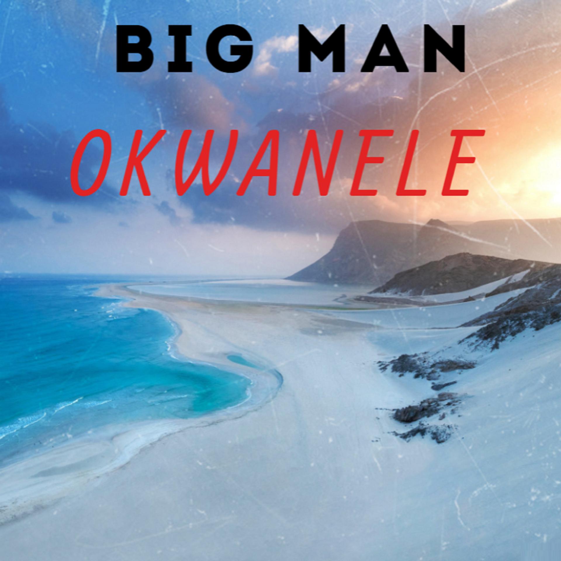 Постер альбома Okwanele
