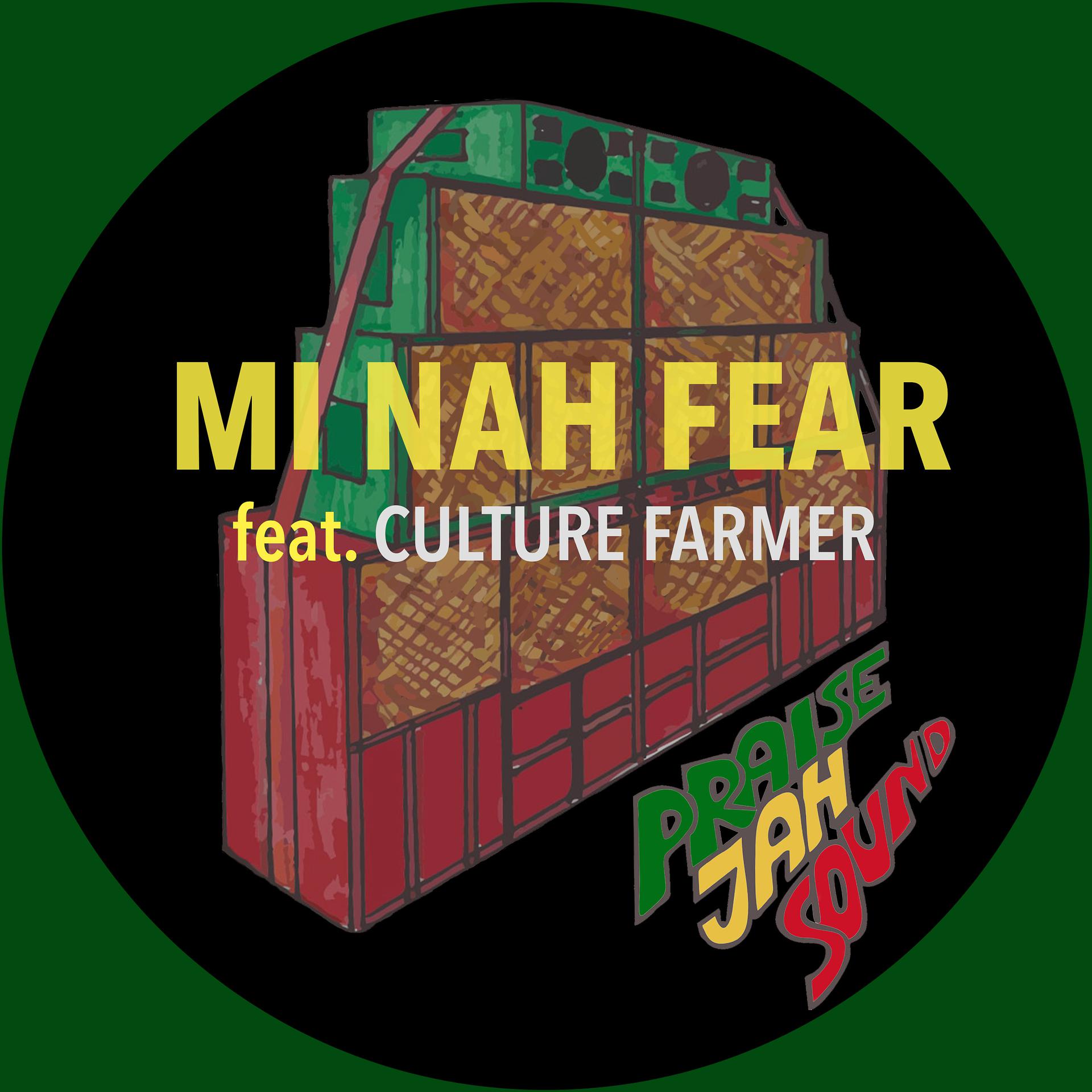 Постер альбома Mi Nah Fear
