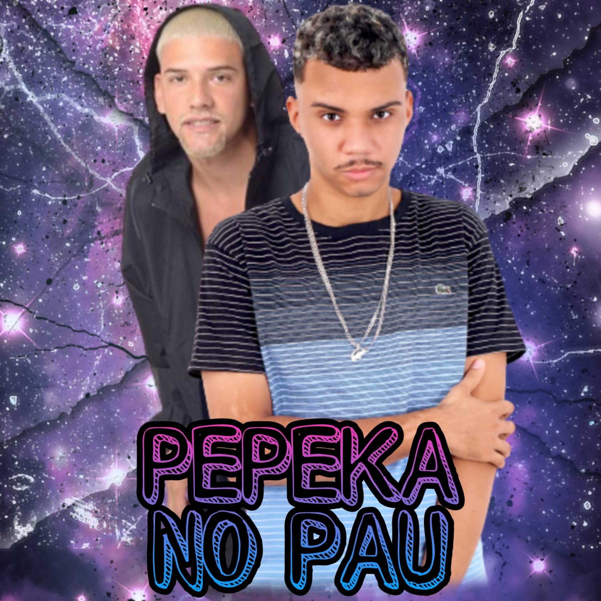 Постер альбома Pepeka no Pau