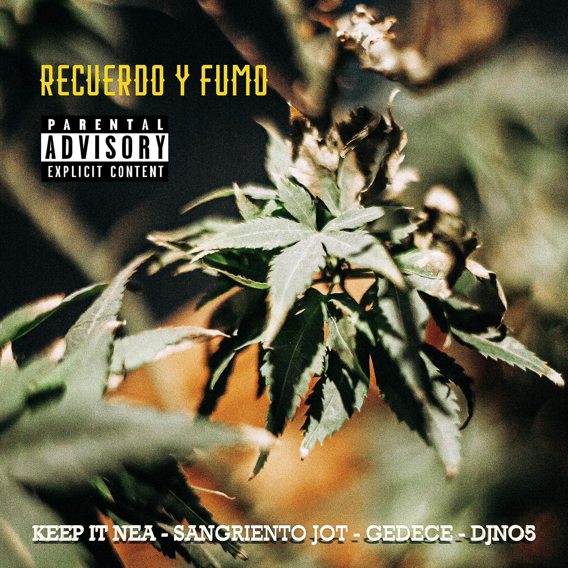 Постер альбома Recuerdo y Fumo
