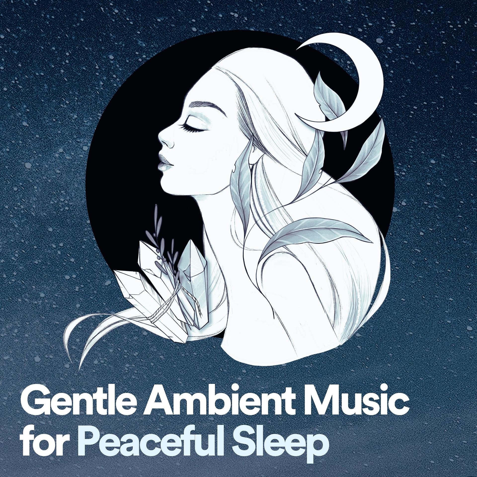 Постер альбома Gentle Ambient Music for Peaceful Sleep