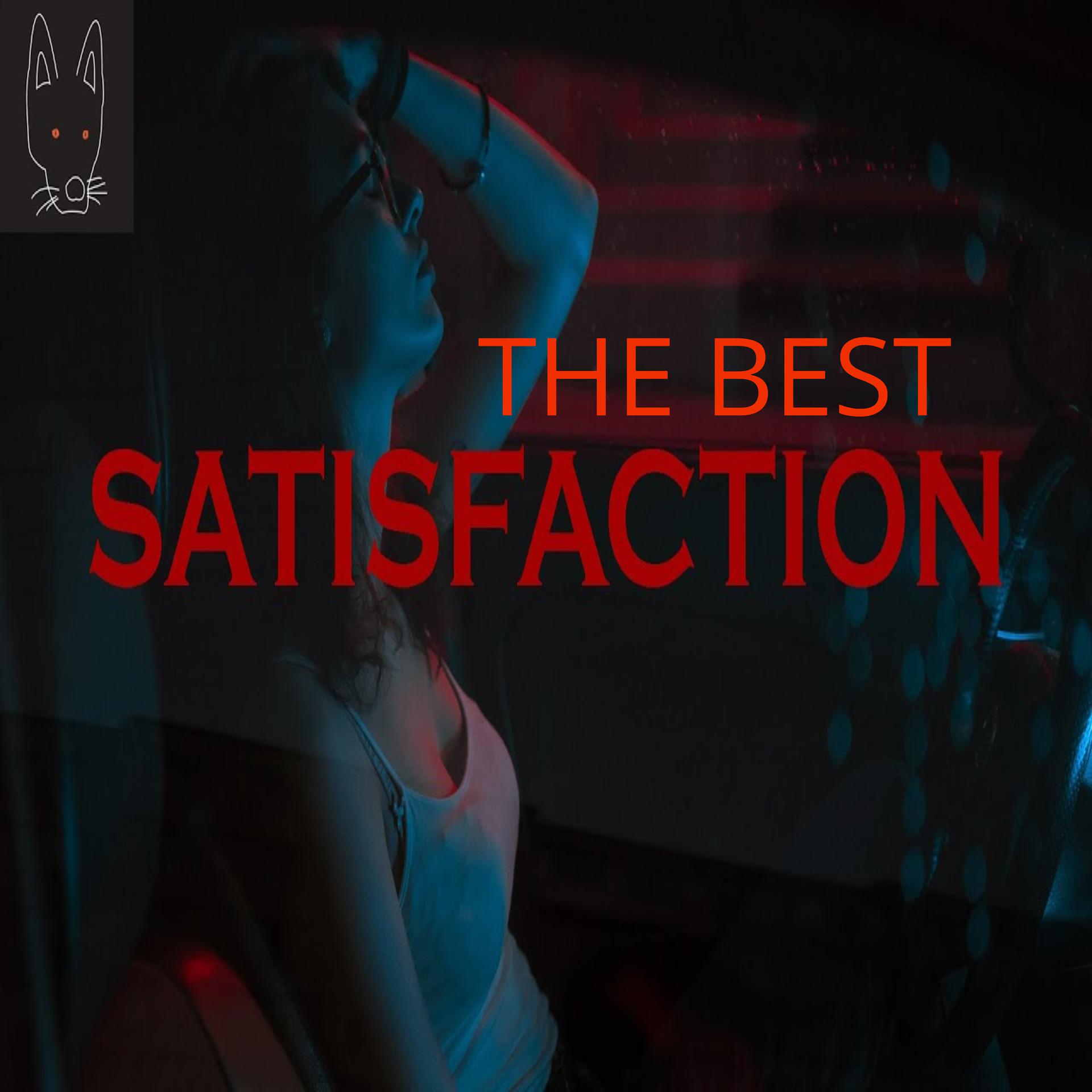 Постер альбома The best satisfaction