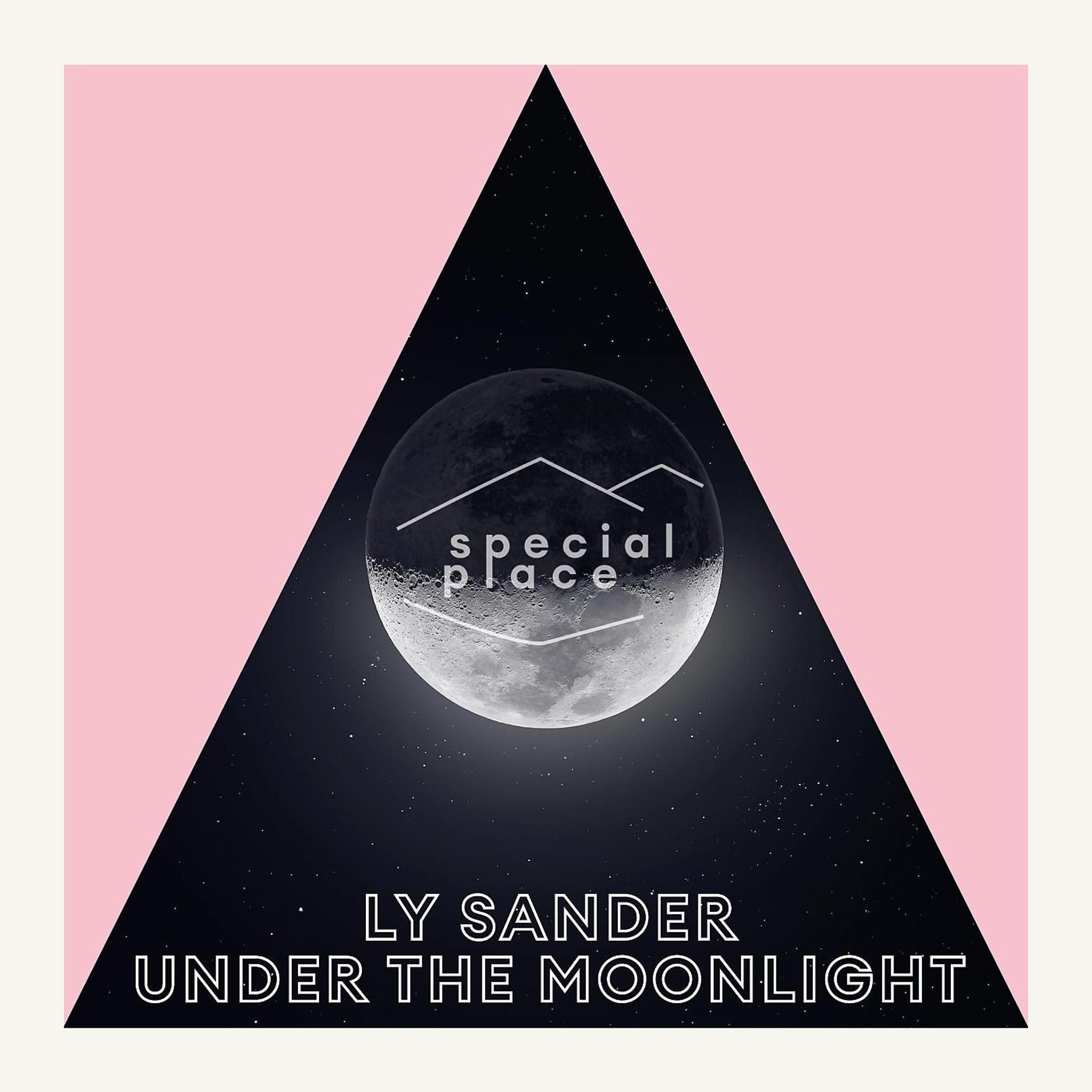 Постер альбома Under The Moonlight EP