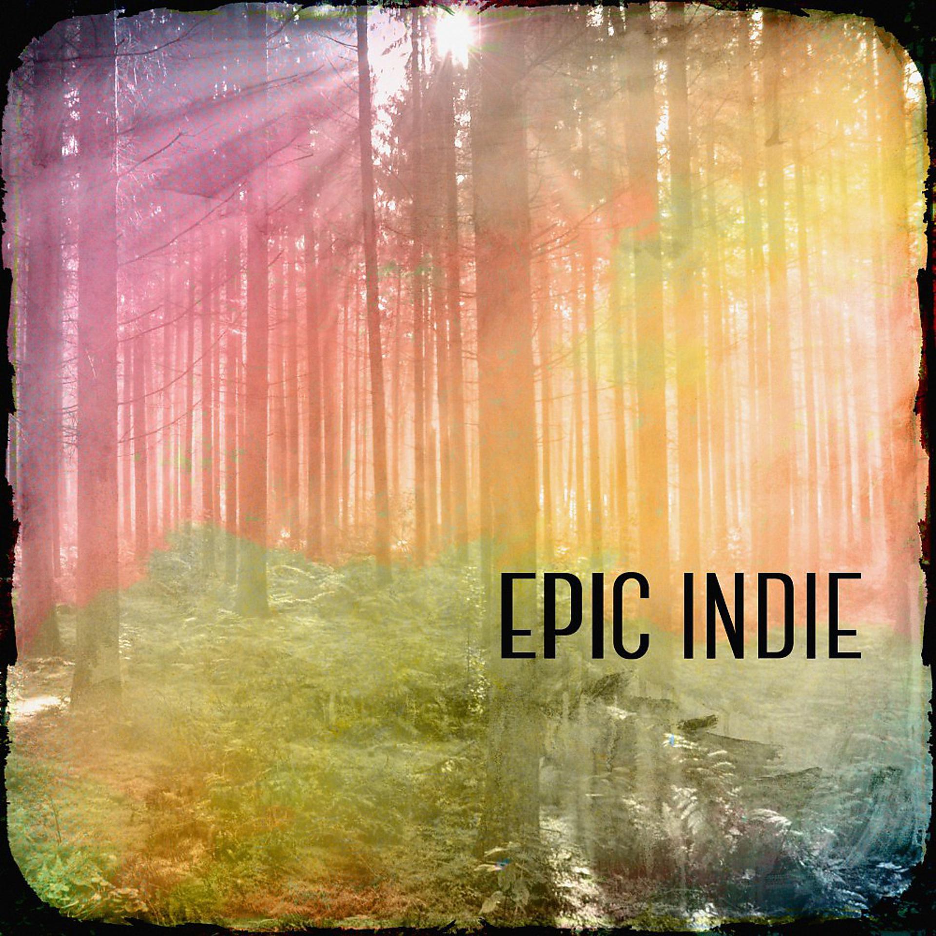 Постер альбома Epic Indie