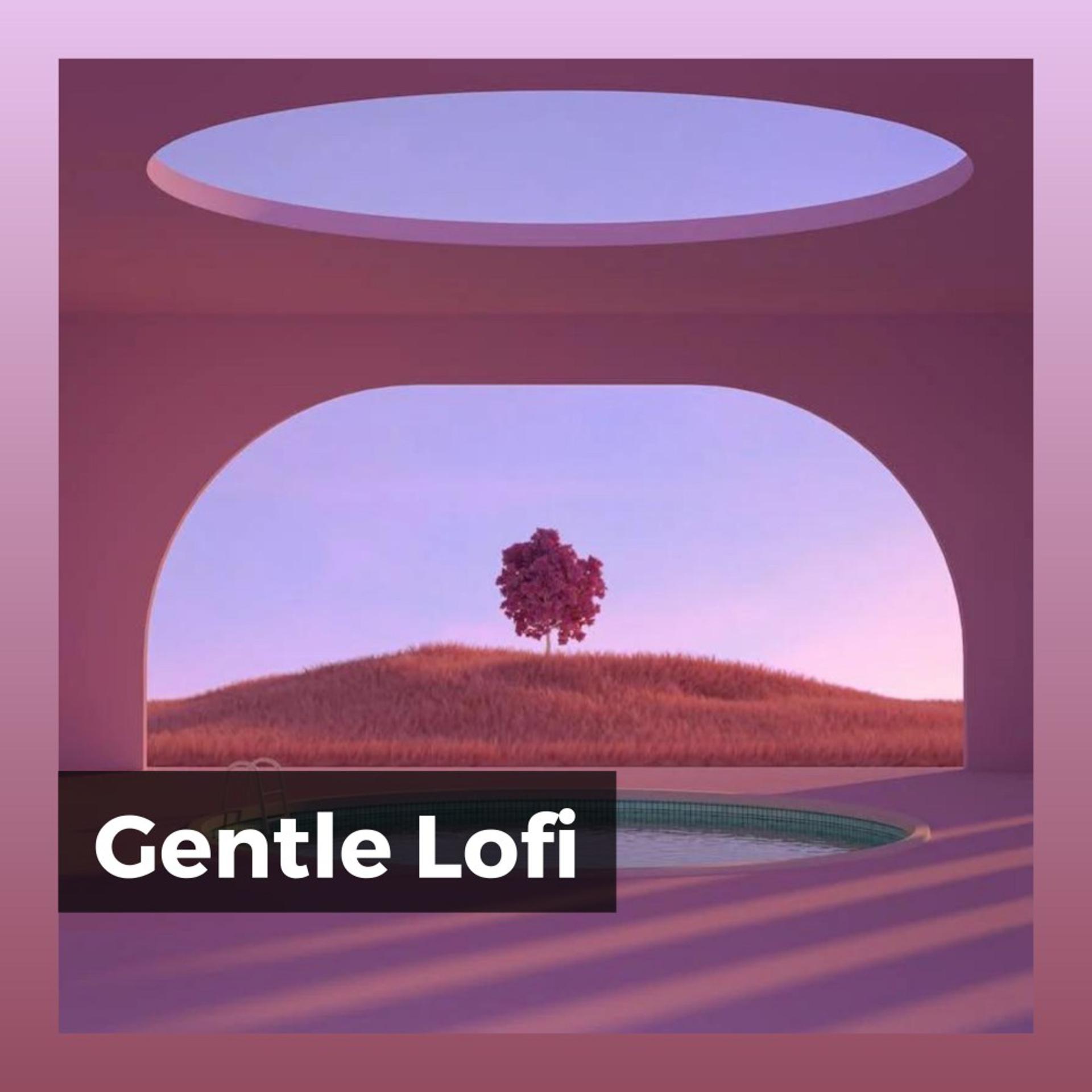 Постер альбома Gentle Lofi