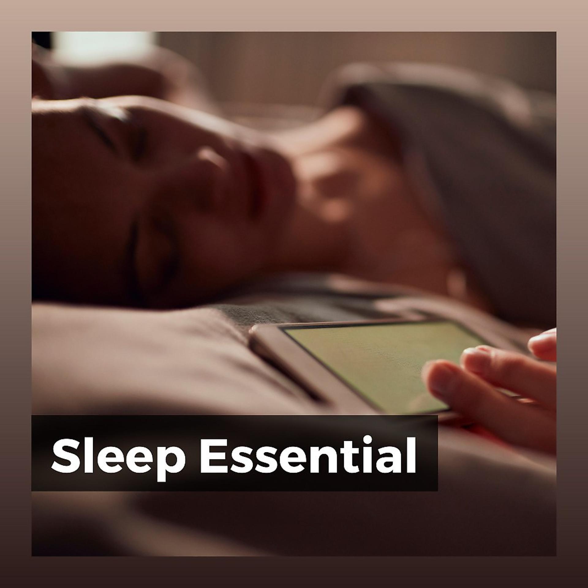 Постер альбома Sleep Essential