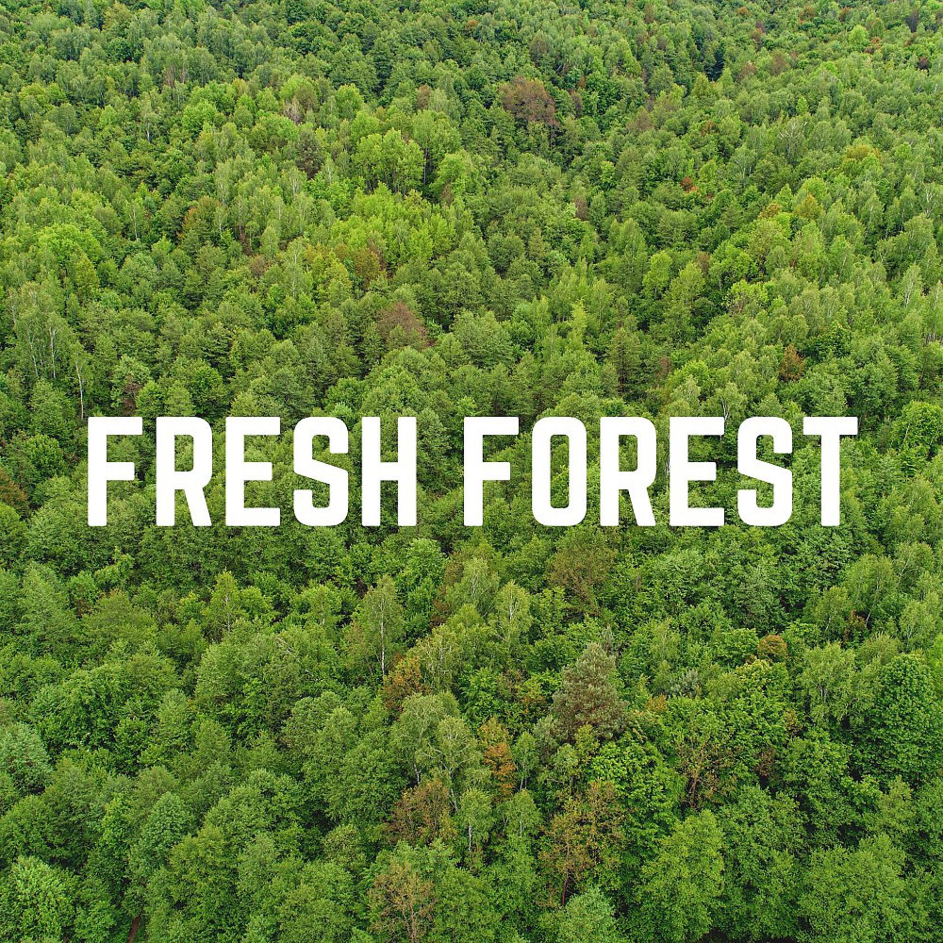 Постер альбома Fresh Forest