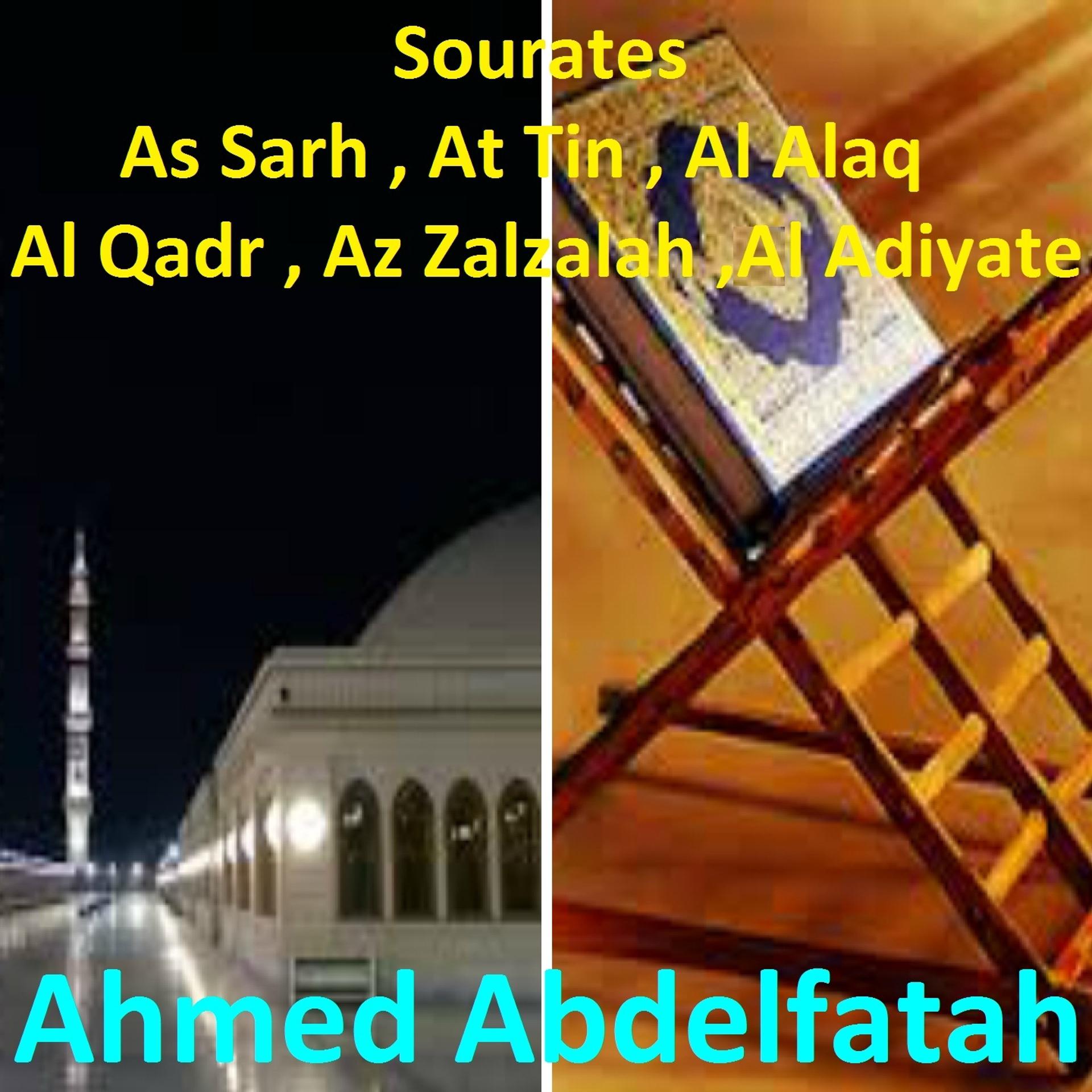 Постер альбома Sourates As Sarh, At Tin, Al Alaq, Al Qadr, Az Zalzalah, Al Adiyate