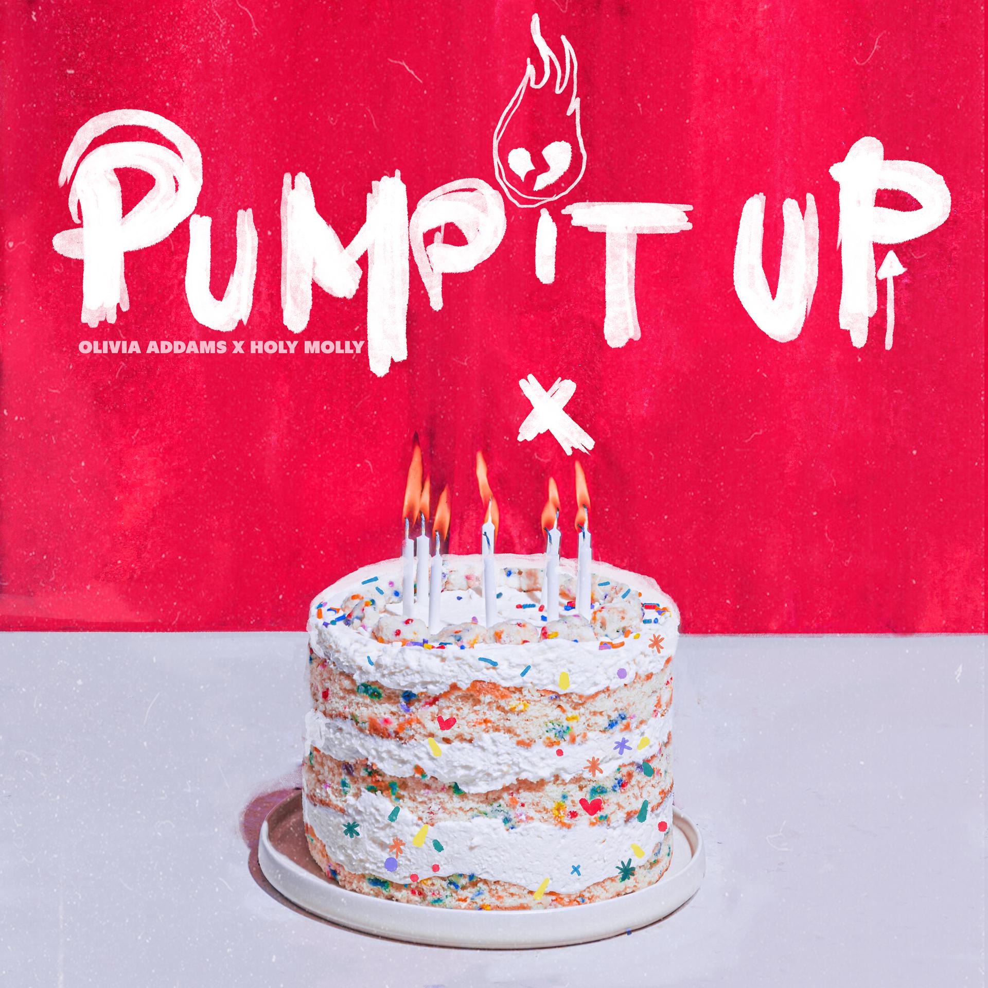 Постер альбома Pump It Up