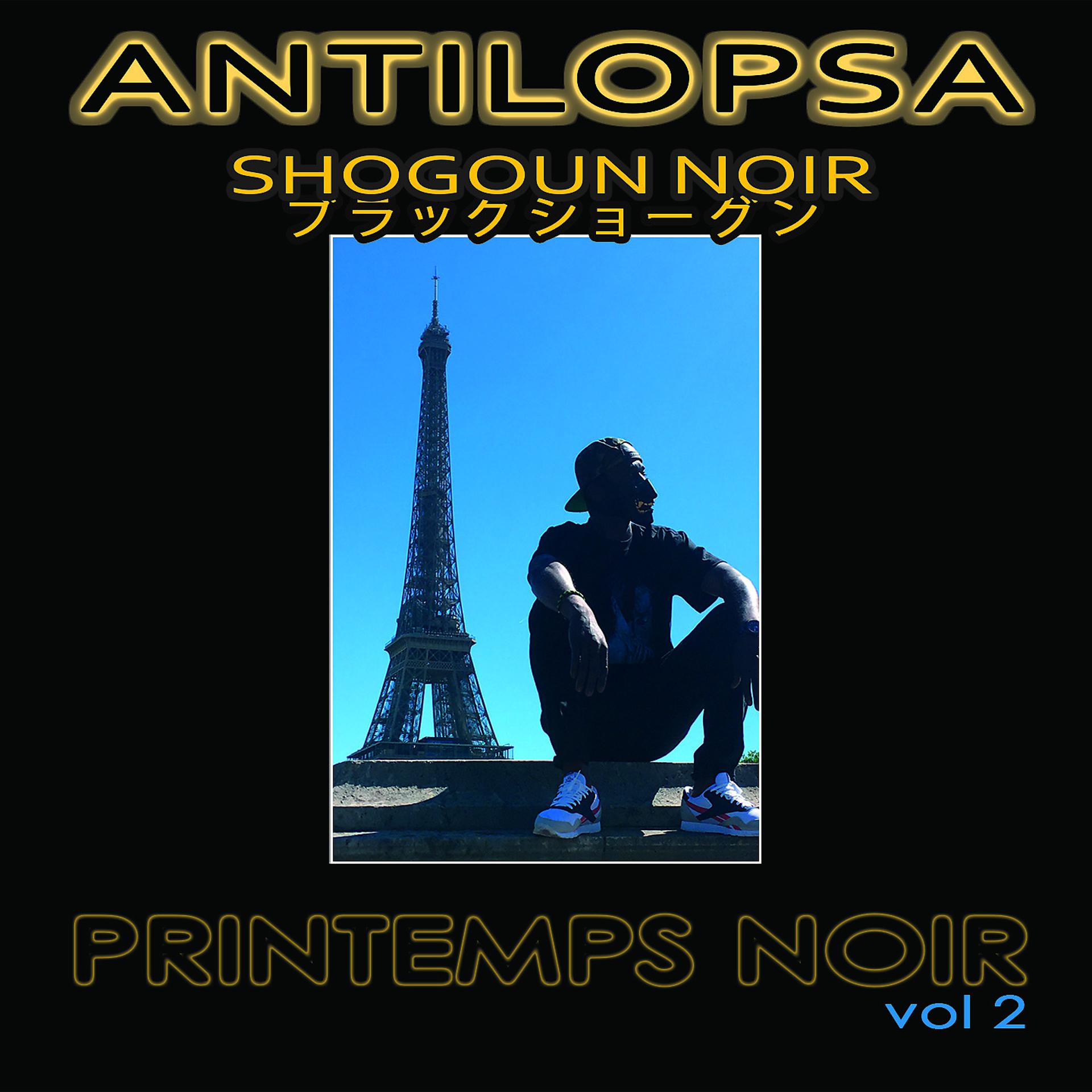 Постер альбома Printemps Noir, vol. 2