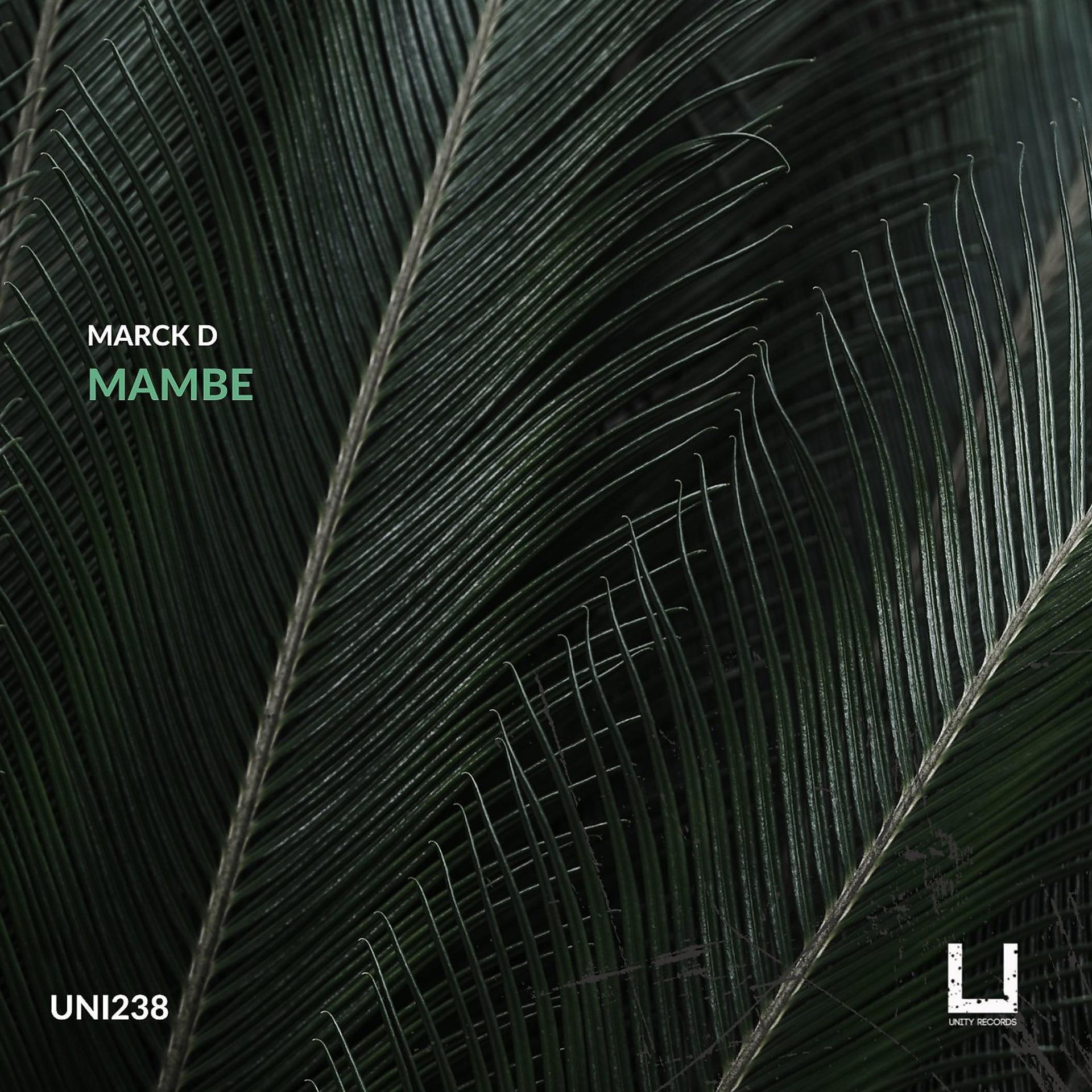Постер альбома Mambe