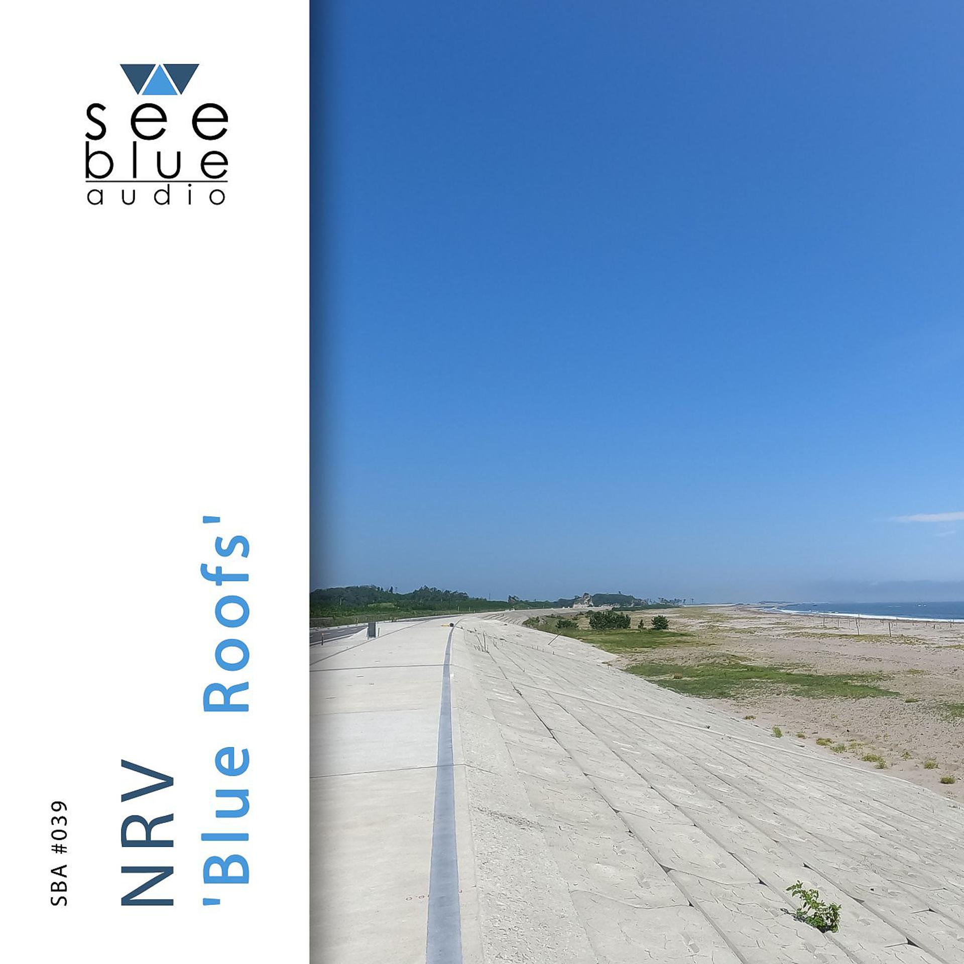 Постер альбома Blue Roofs