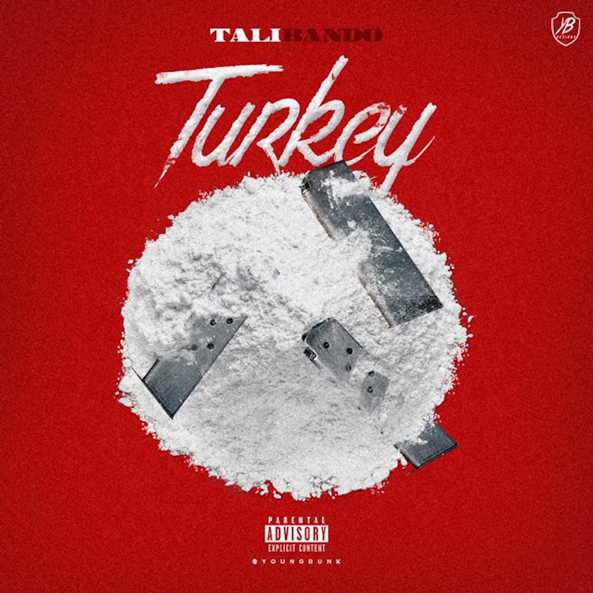 Постер альбома Turkey (feat. Babyface Ray)