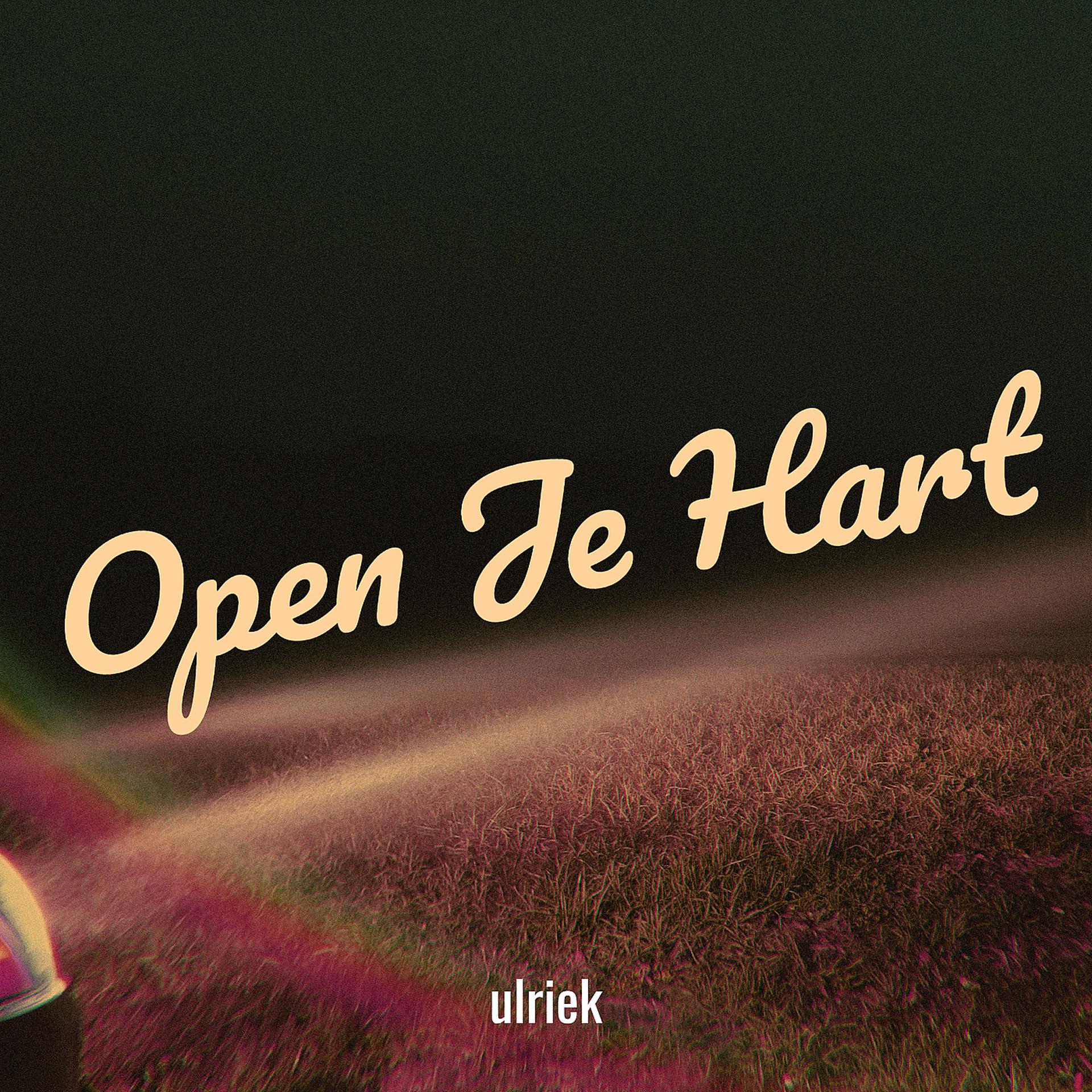 Постер альбома Open Je Hart