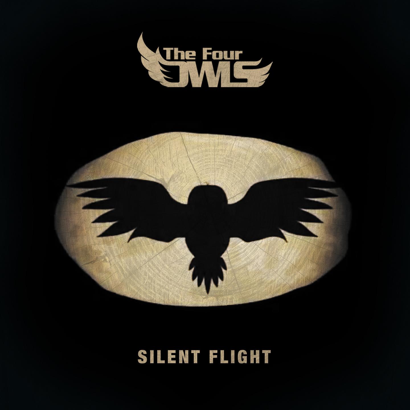 Постер альбома Silent Flight