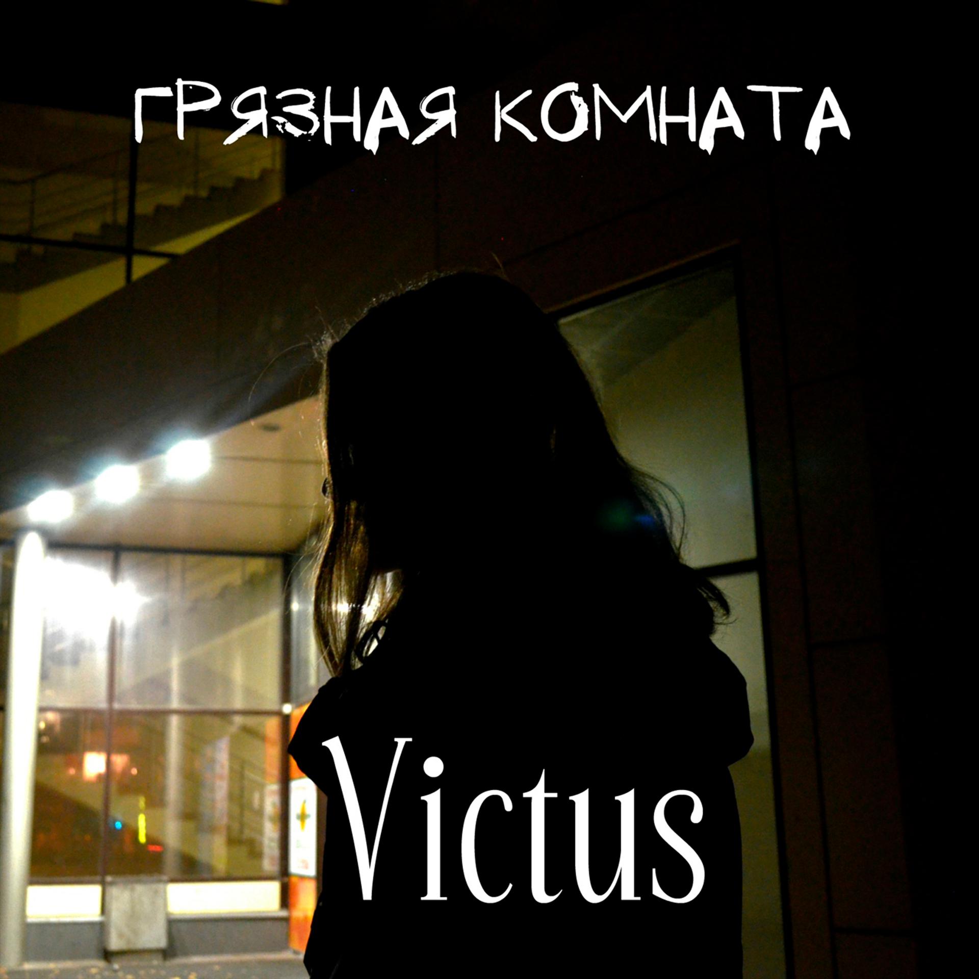 Постер альбома Victus