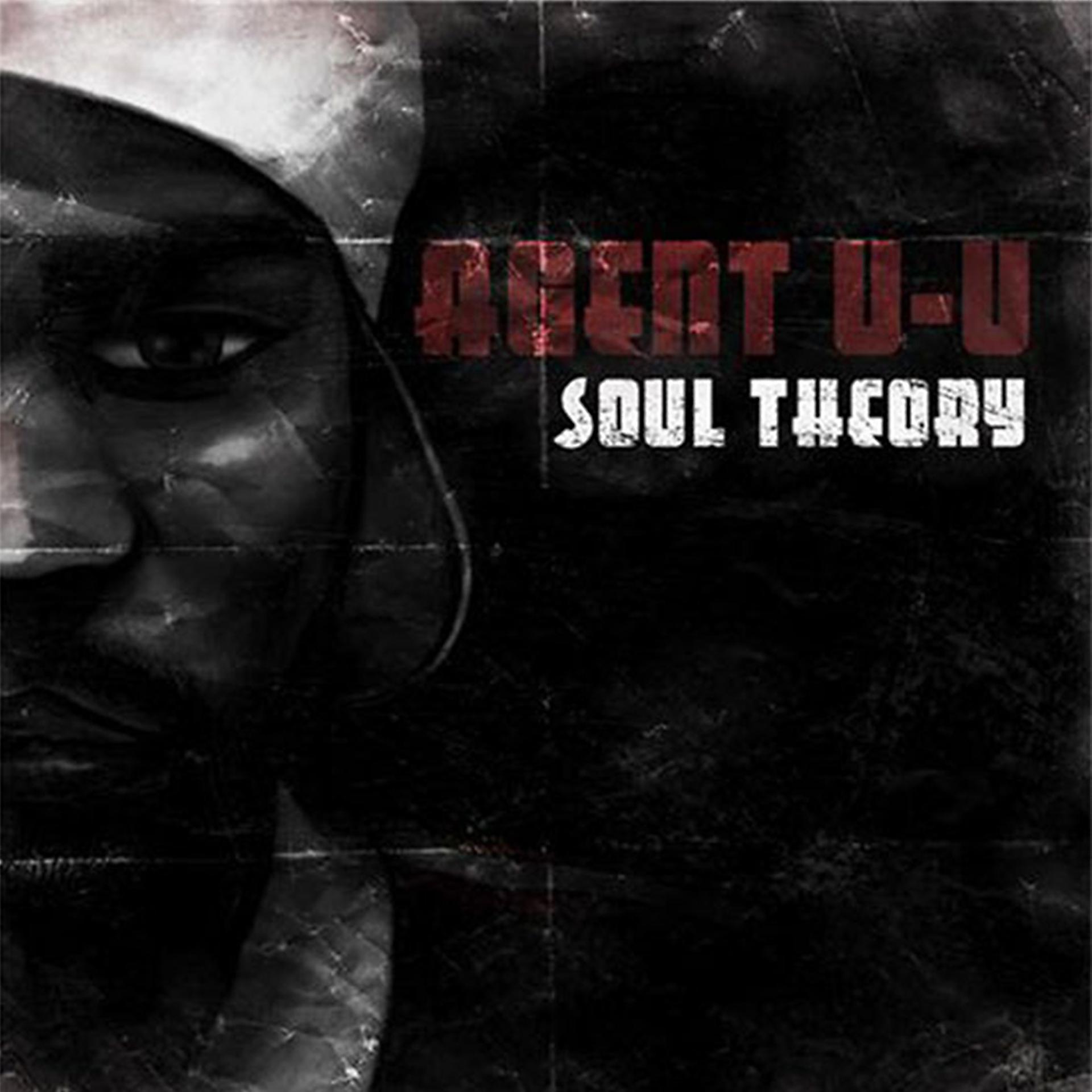 Постер альбома Soul Theory