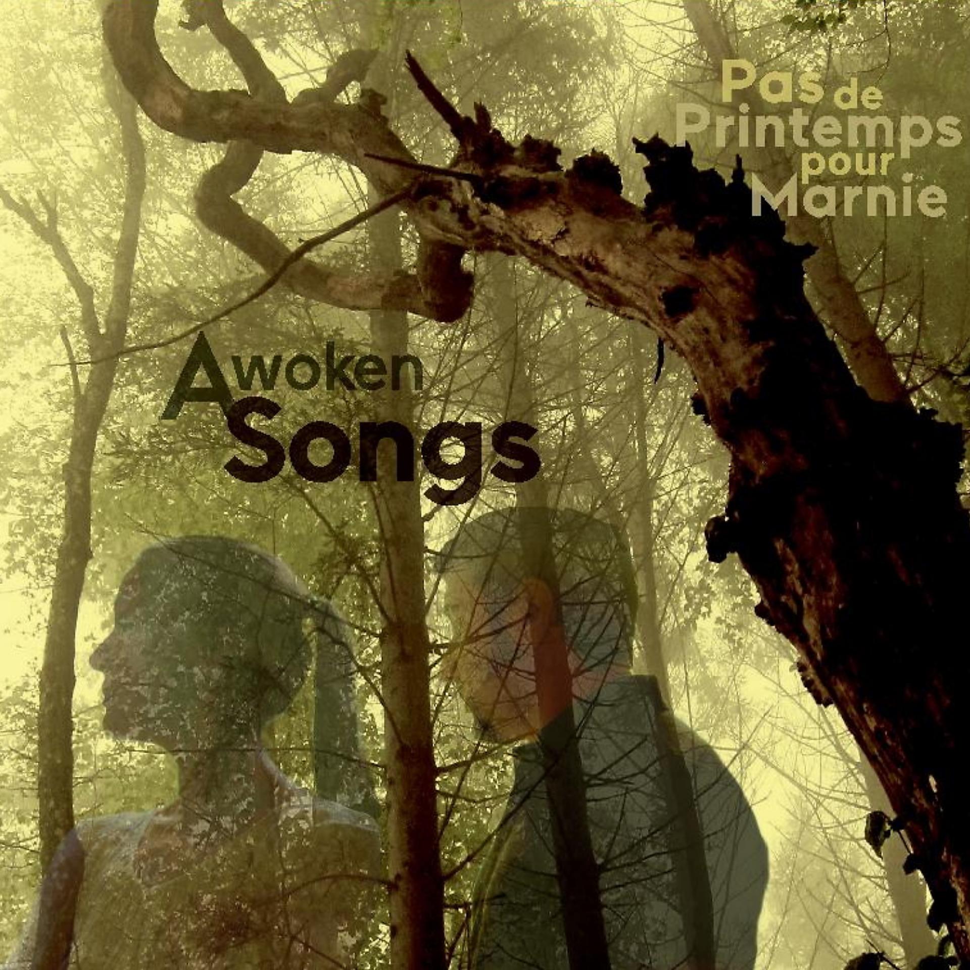 Постер альбома Awoken songs