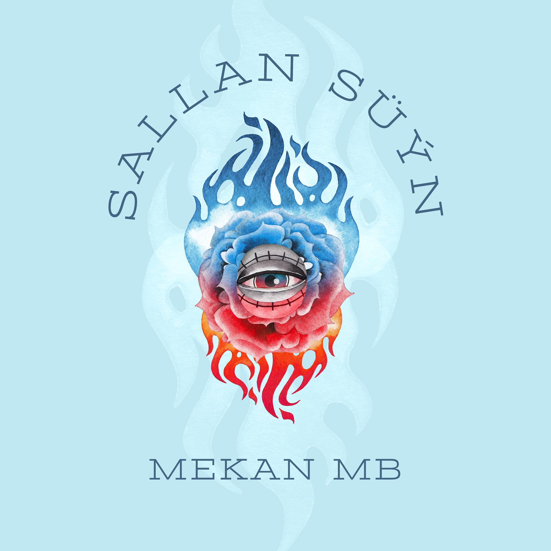 Постер альбома Sallan Süýn