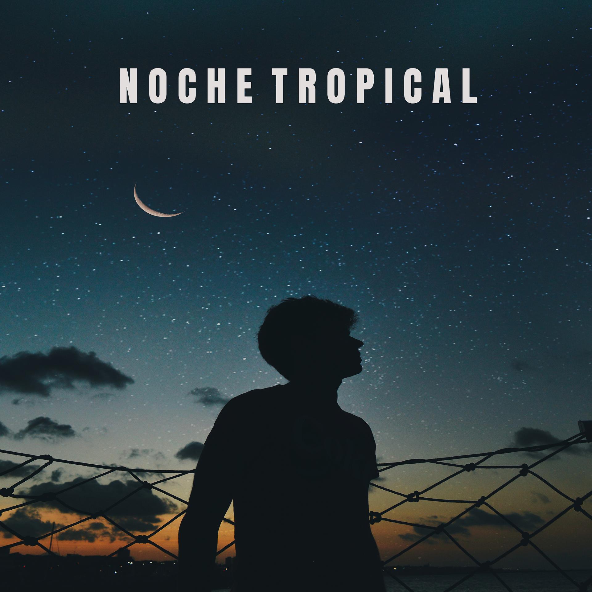 Постер альбома Noche tropical